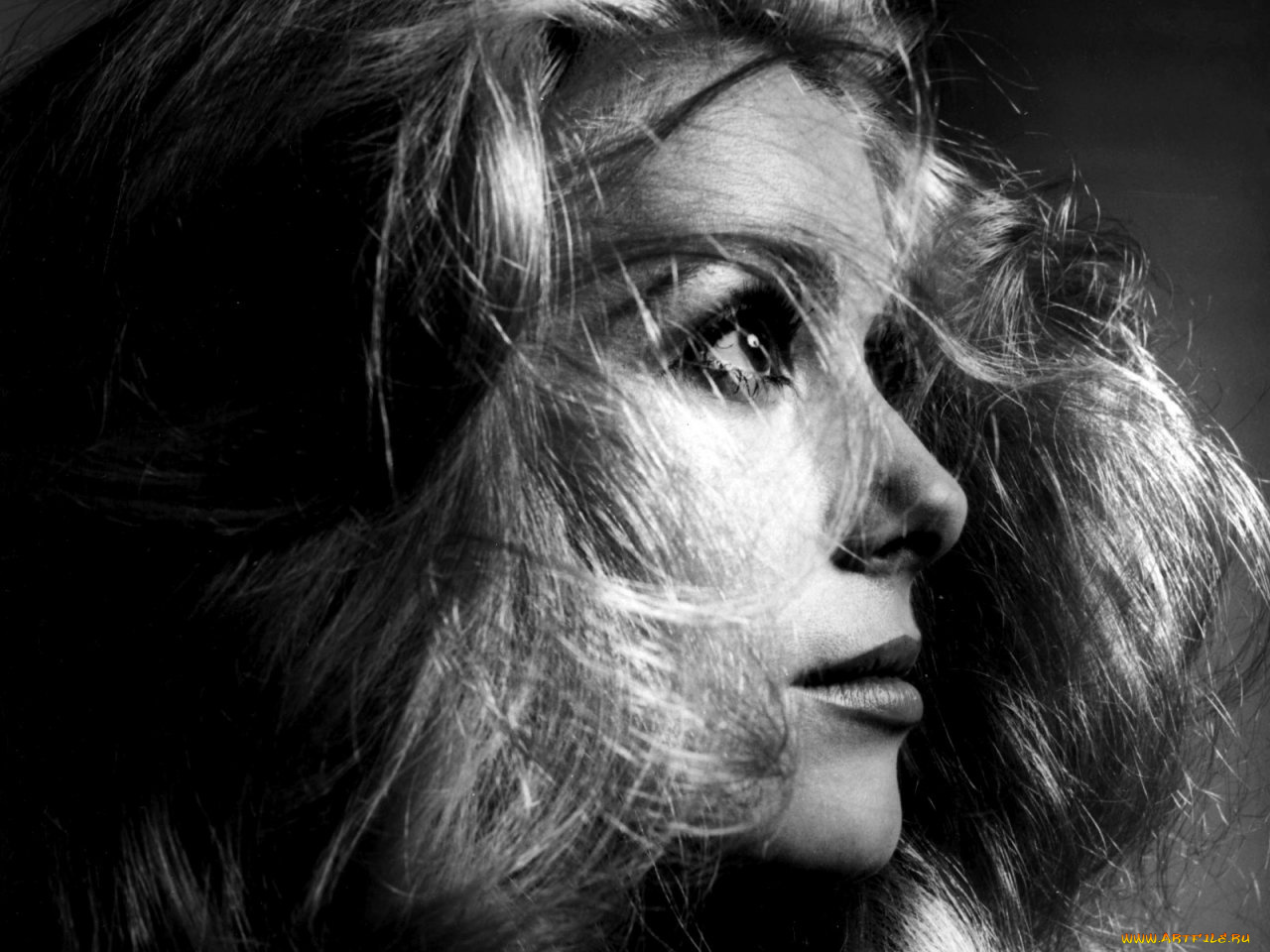 Catherine, Deneuve, катрин, денев, девушки