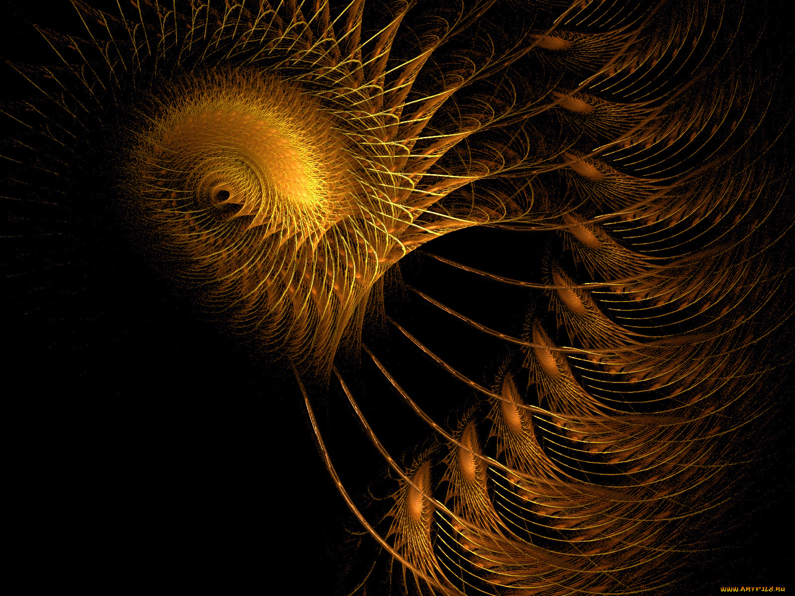 3д, графика, fractal, фракталы, абстракция, узор