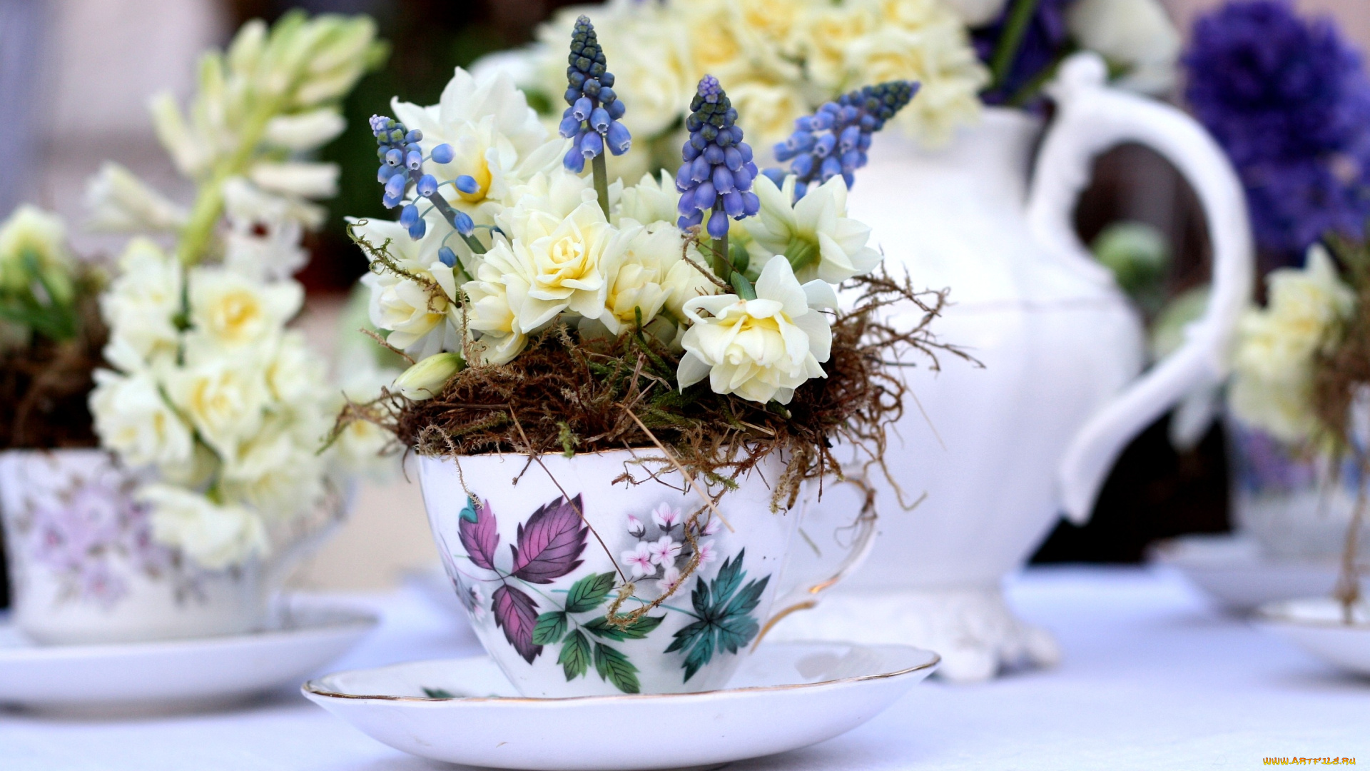 цветы, букеты, композиции, мох, мускари, розы, чашка, гиацинты