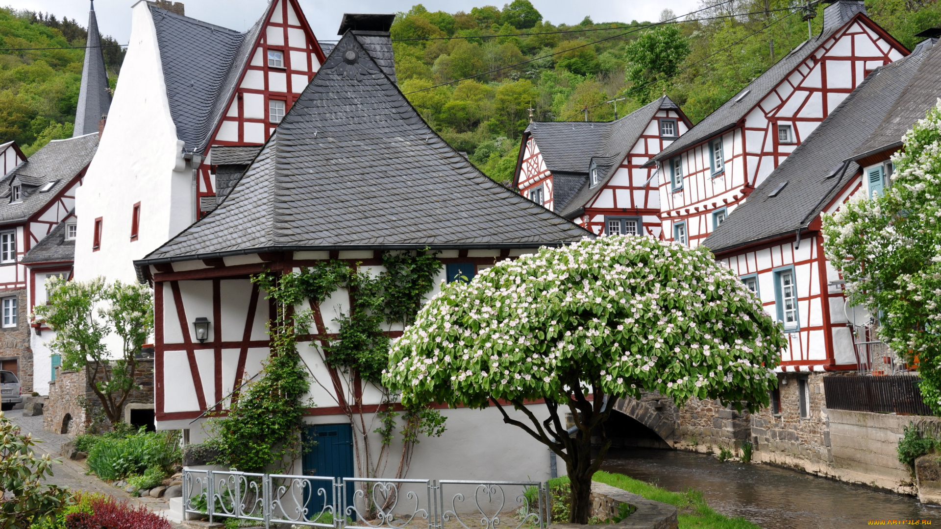 города, улицы, площади, набережные, река, здания, весна, сирень