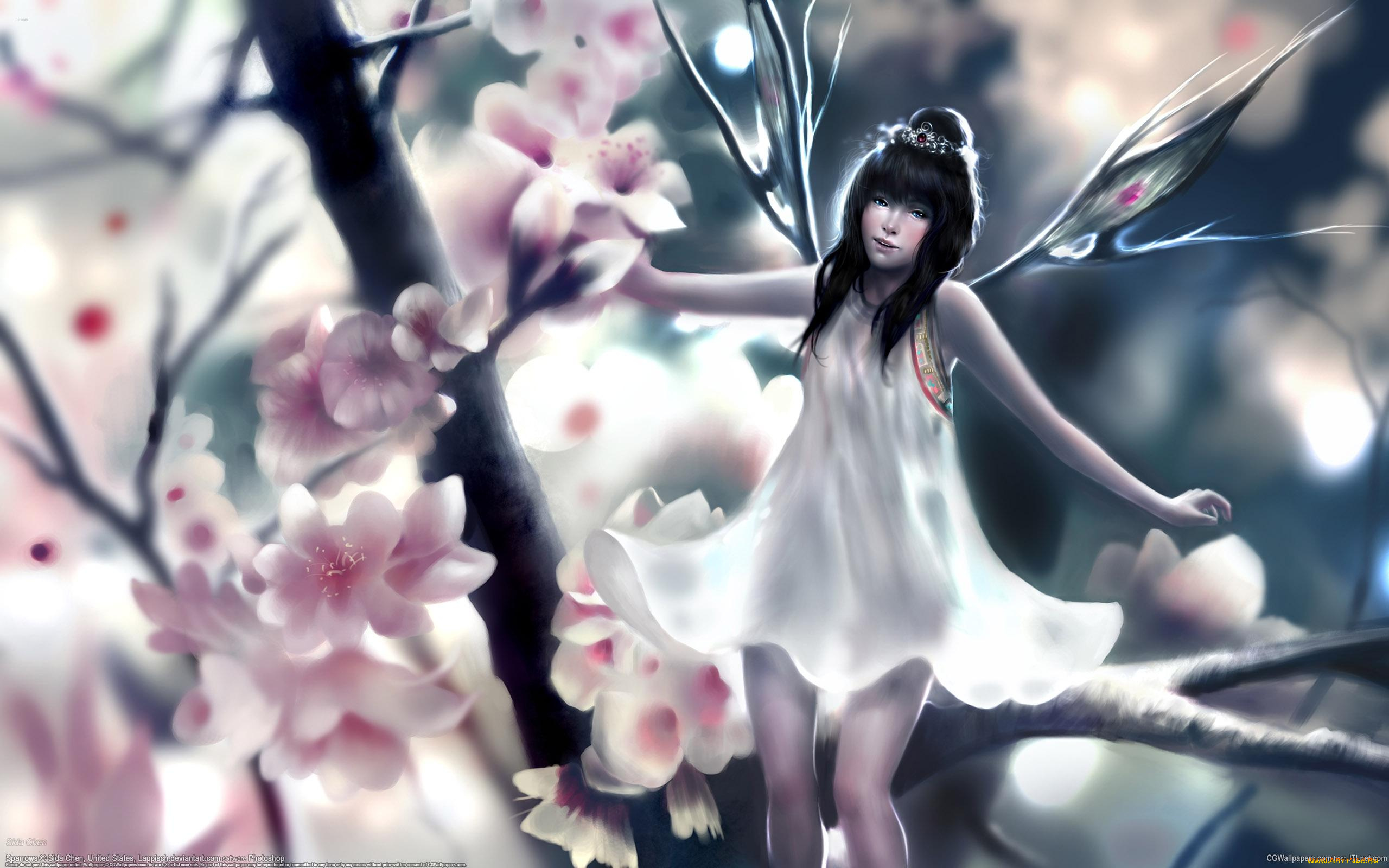 sida, chen, фэнтези, феи