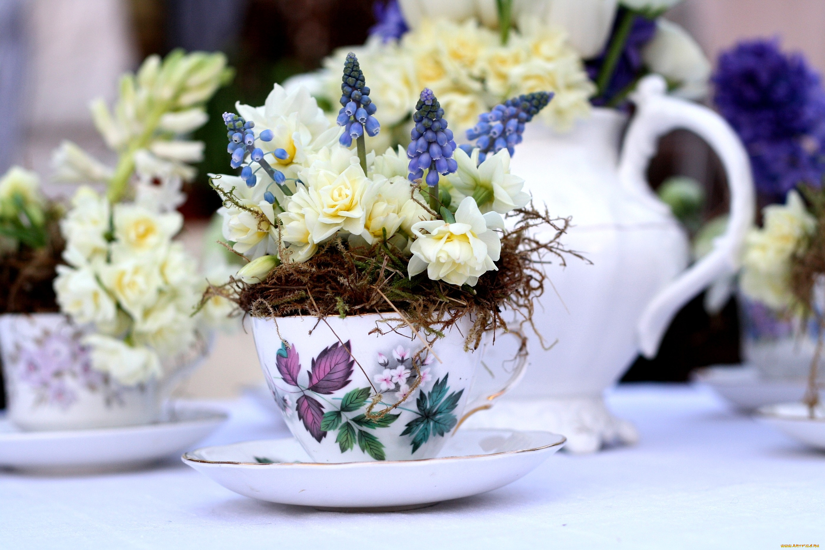 цветы, букеты, композиции, мох, мускари, розы, чашка, гиацинты