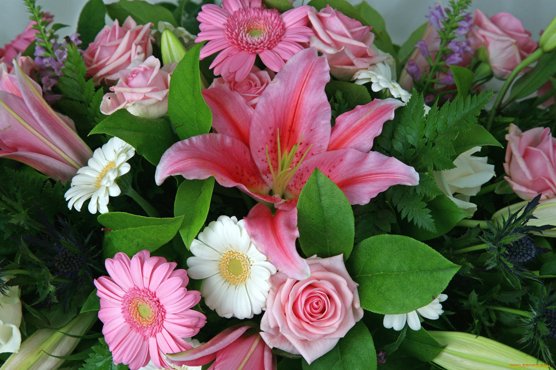 цветы, букеты, композиции, лилии, розы, герберы