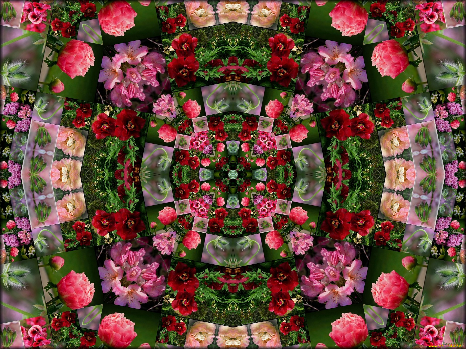 разное, компьютерный, дизайн, цветы, узор, графика