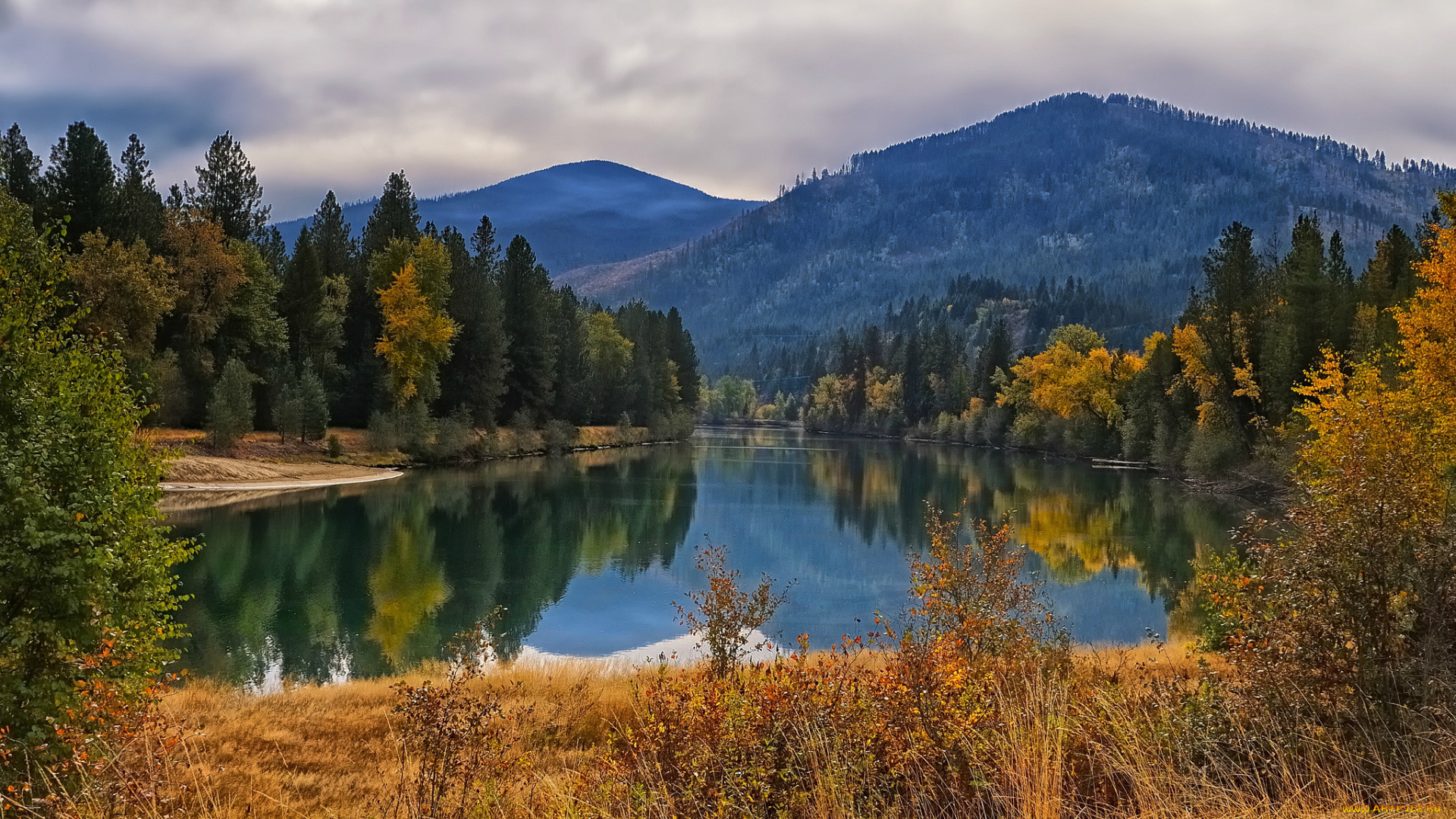 coeur, d`alene, river, природа, реки, озера, деревья, горы, пейзаж, лес, река, dalene