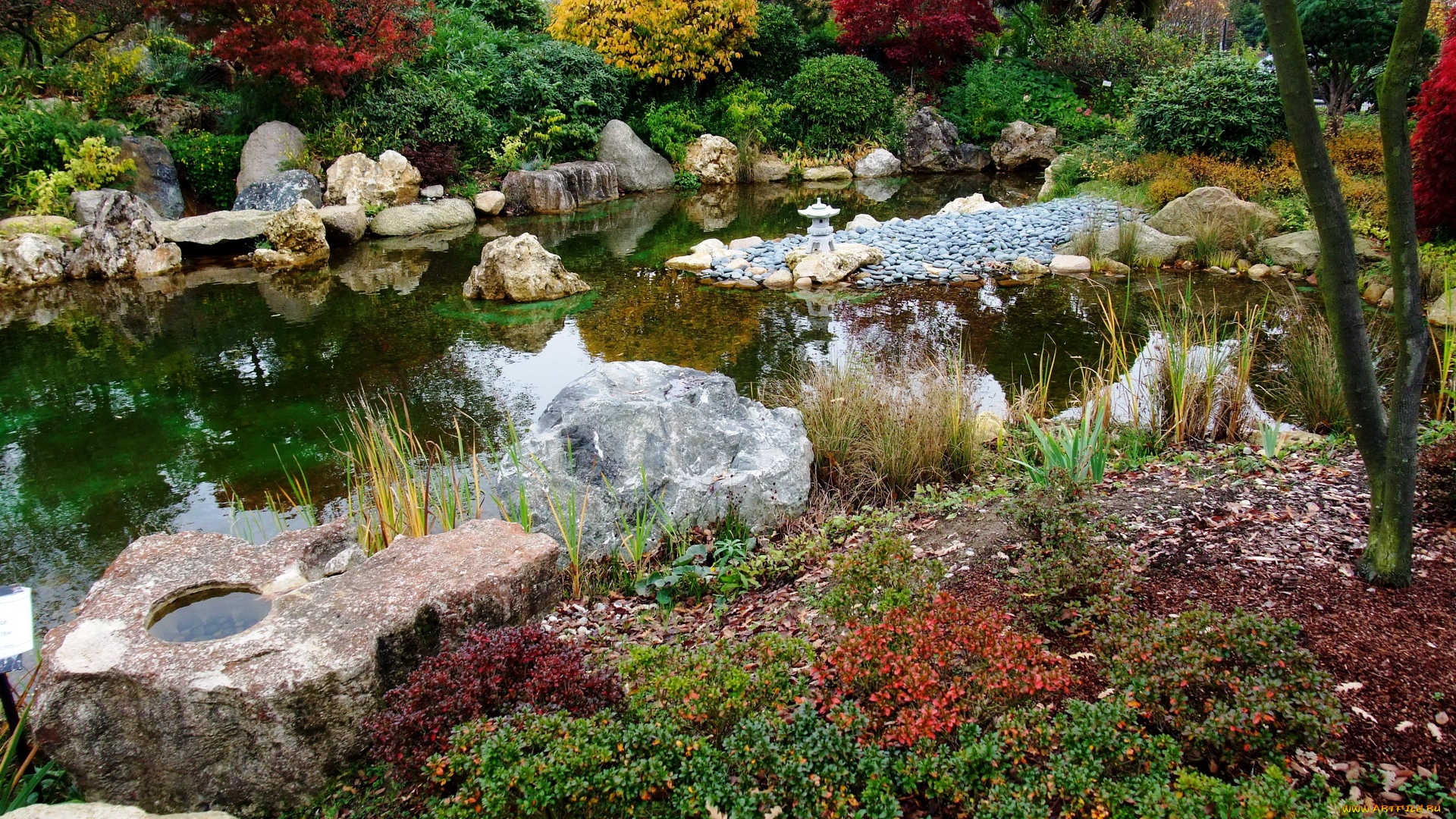 германия, гамбург, природа, парк, цветы