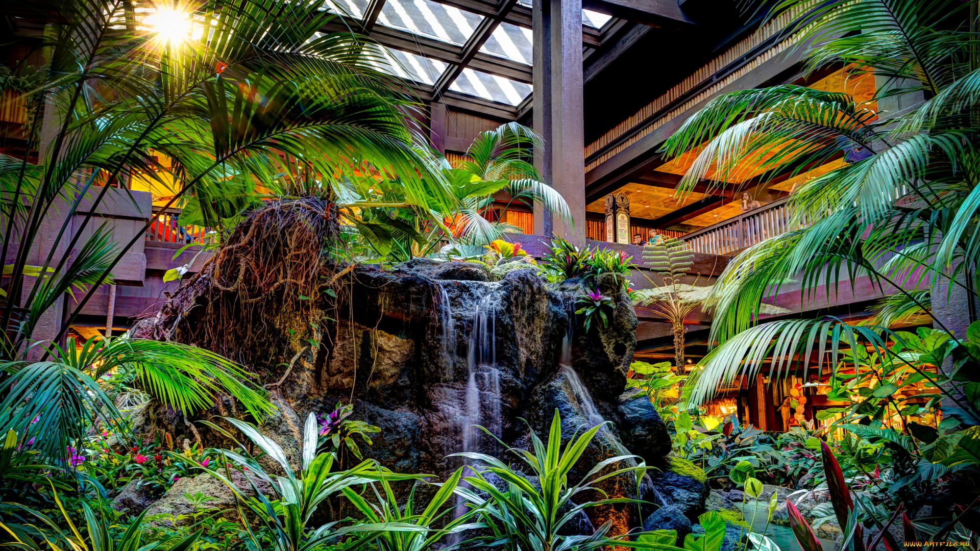 города, диснейленд, калифорния