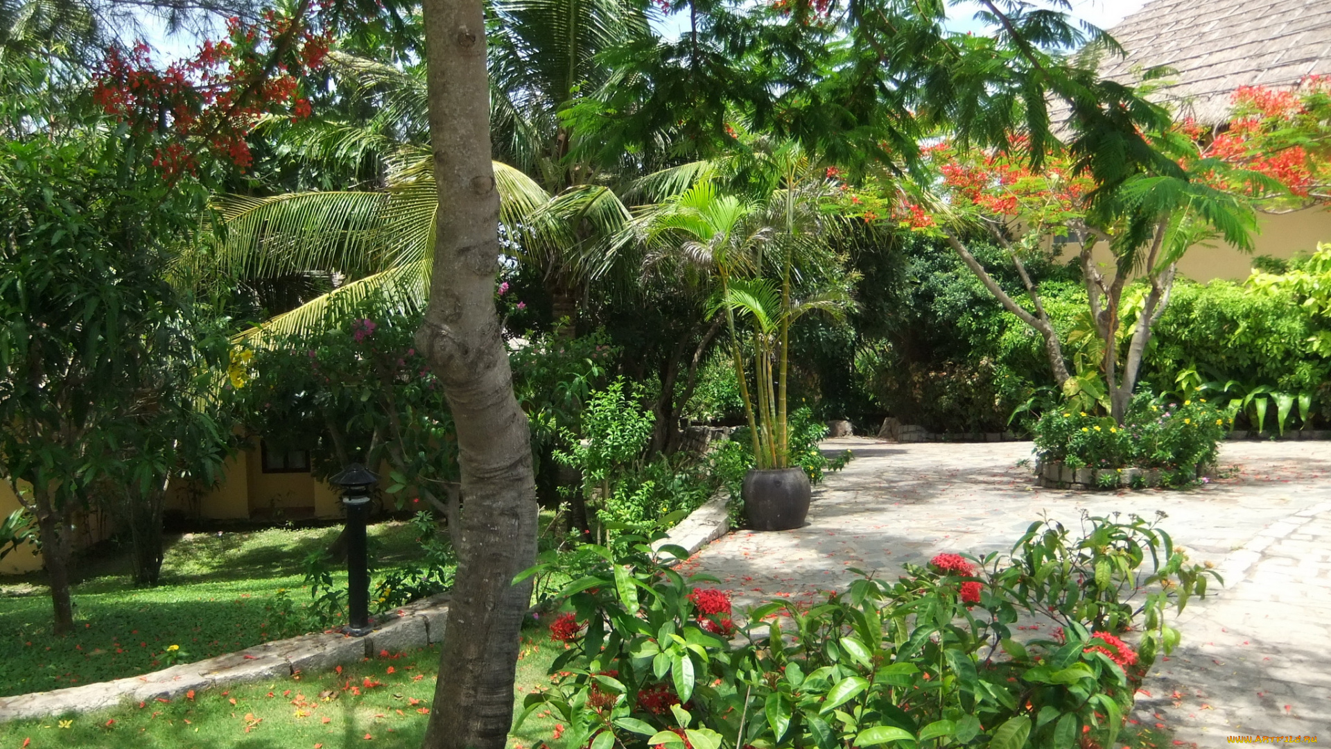 муй, не, вьетнам, природа, парк