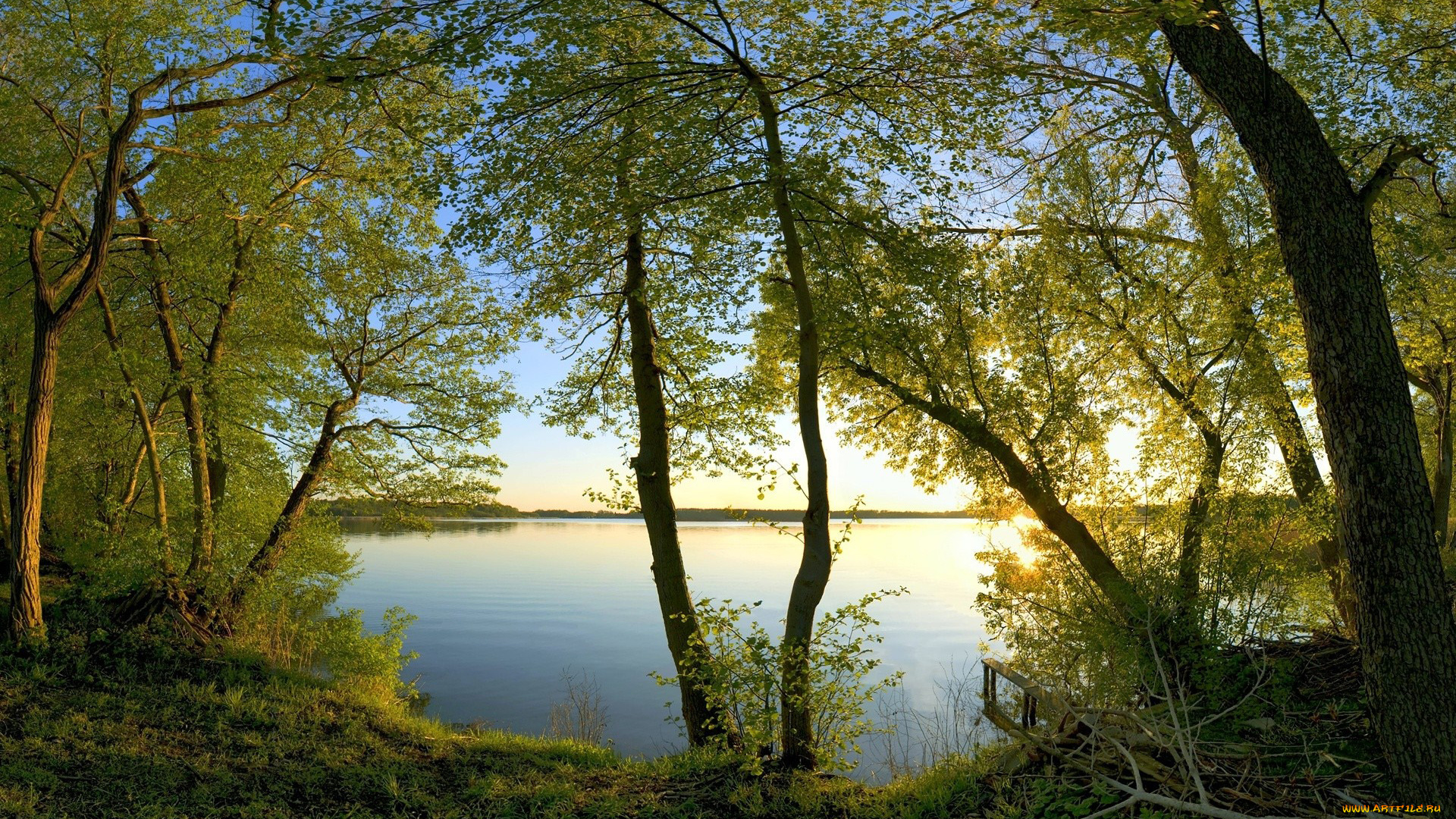 природа, реки, озера, река, деревья