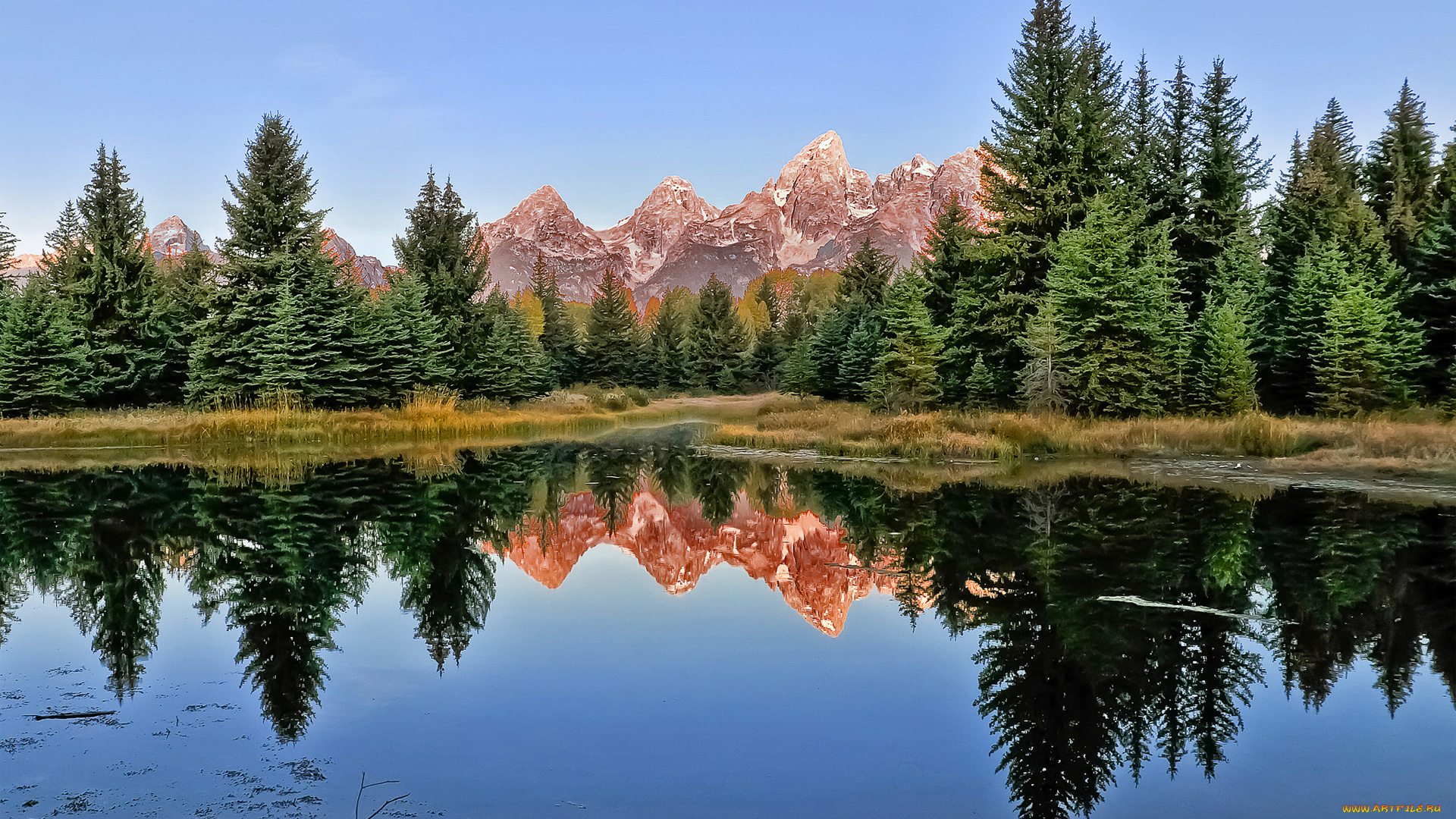 природа, реки, озера, вода, отражение, озеро, горы, ель, лес, деревья, гладь