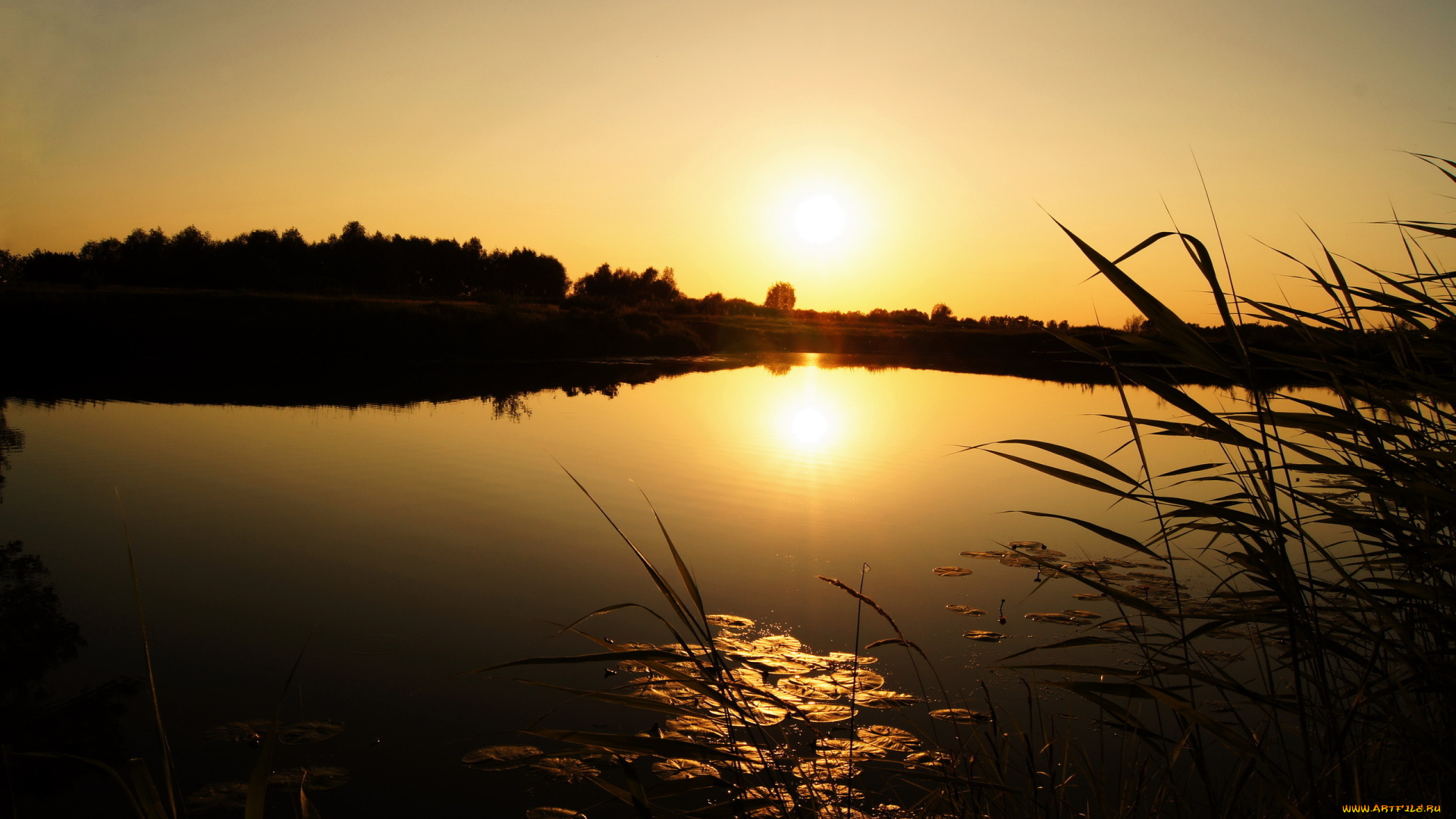 природа, восходы, закаты, трава, озеро, закат