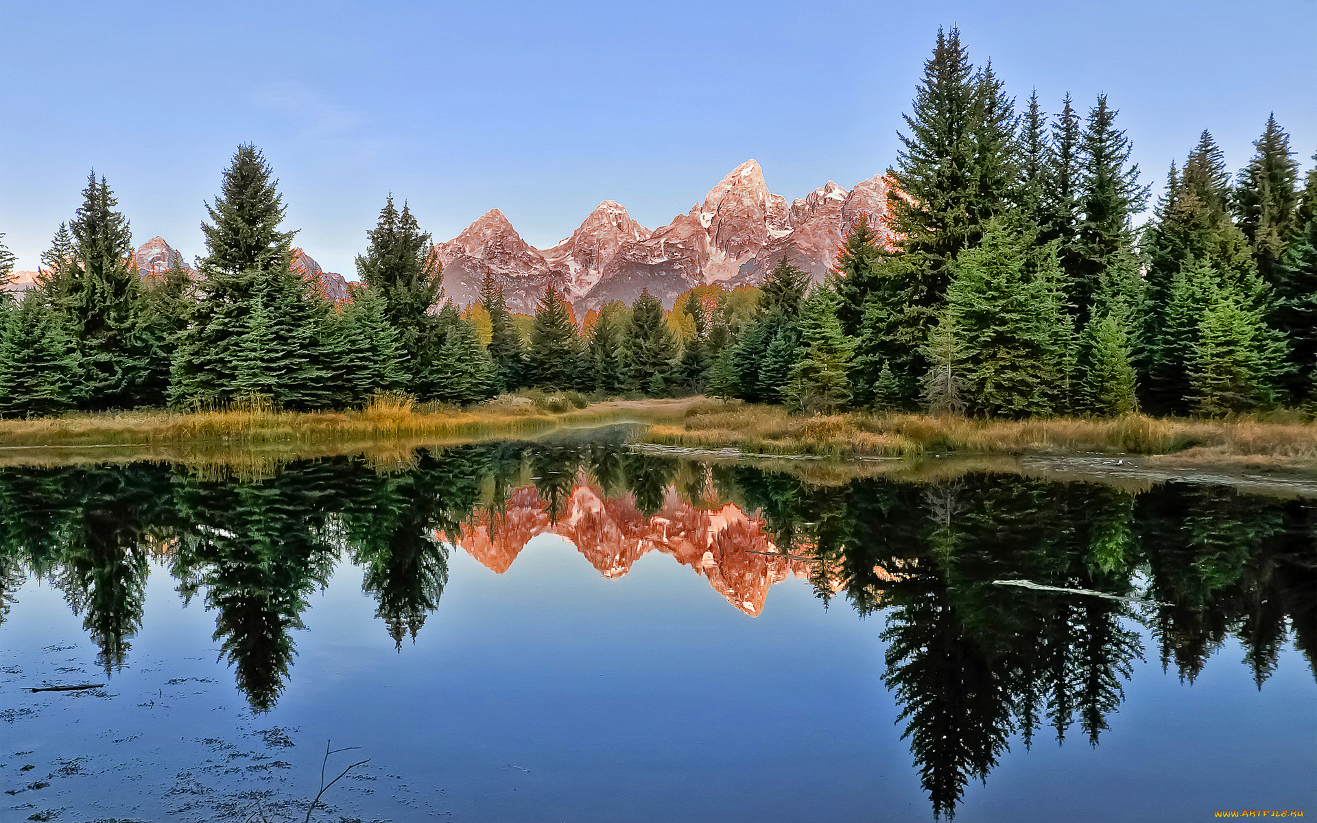 природа, реки, озера, вода, отражение, озеро, горы, ель, лес, деревья, гладь