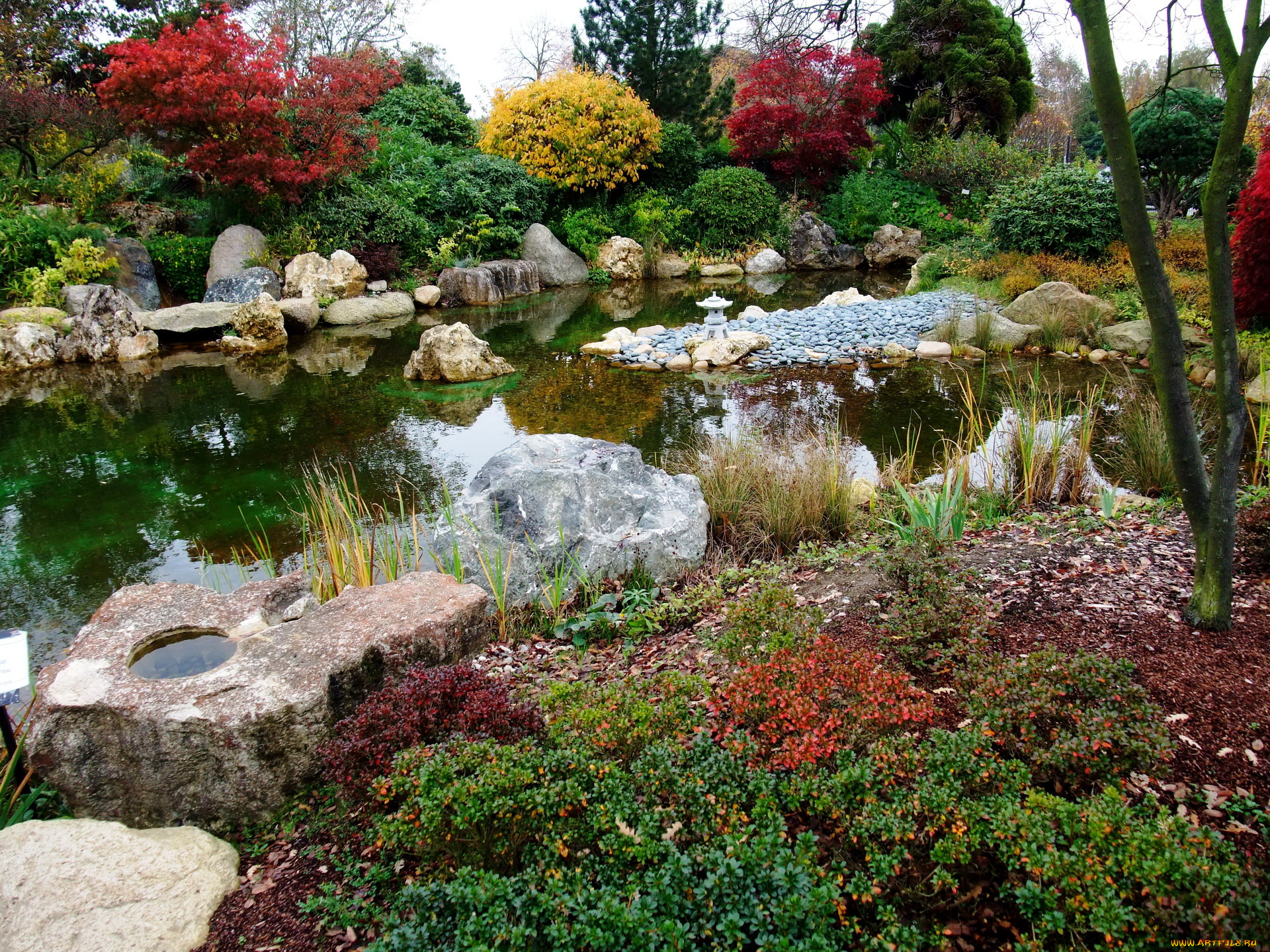 германия, гамбург, природа, парк, цветы