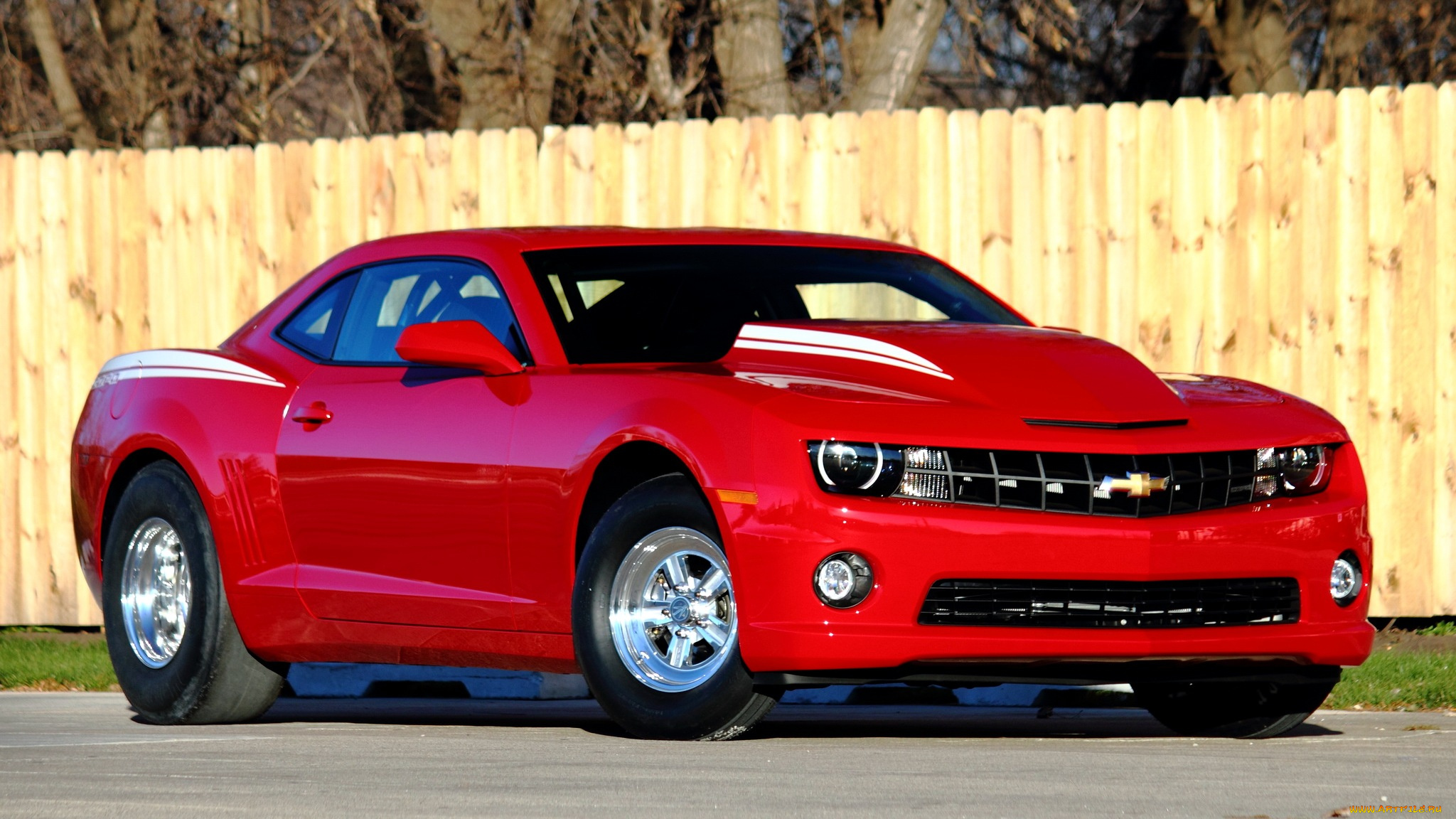 chevrolet, camaro, автомобили, мощь, скорость, стиль, автомобиль