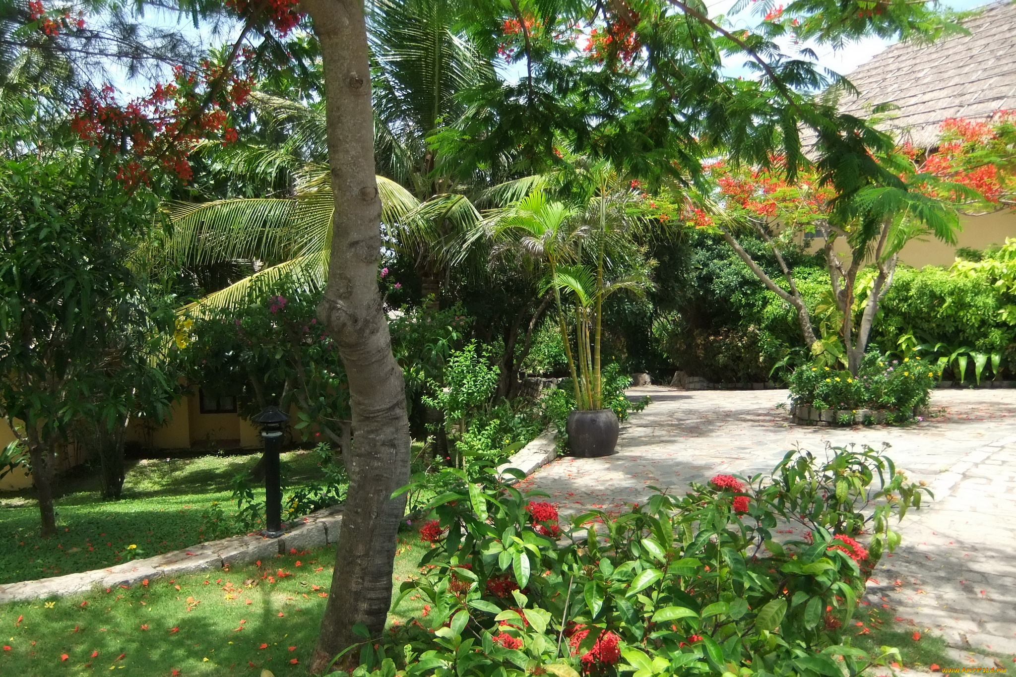 муй, не, вьетнам, природа, парк