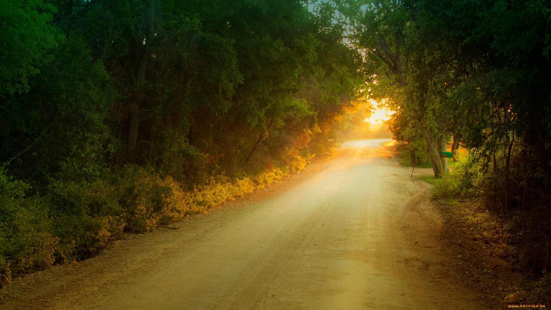 природа, дороги, листочки, листва, листья, дерево, деревья