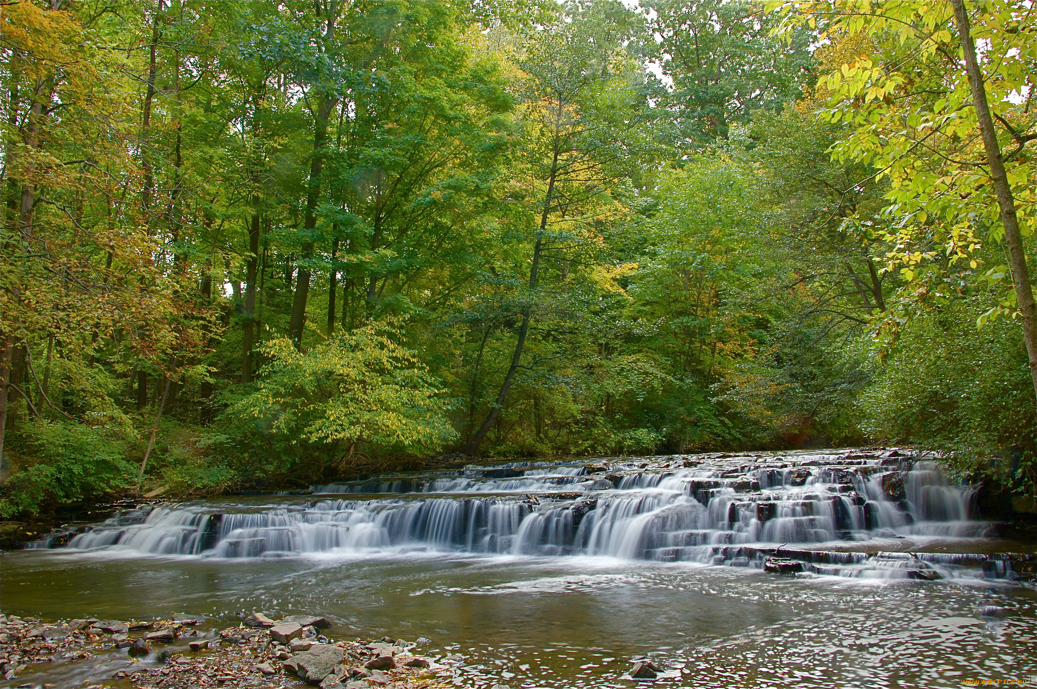 природа, реки, озера, струи, пороги, камни, речка, лес