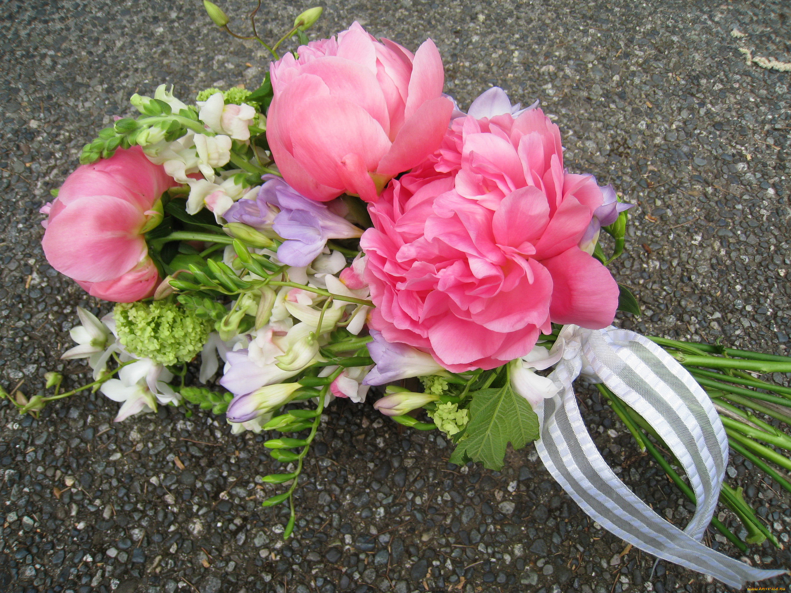 цветы, букеты, , композиции, пионы, львиный, зев, фрезии