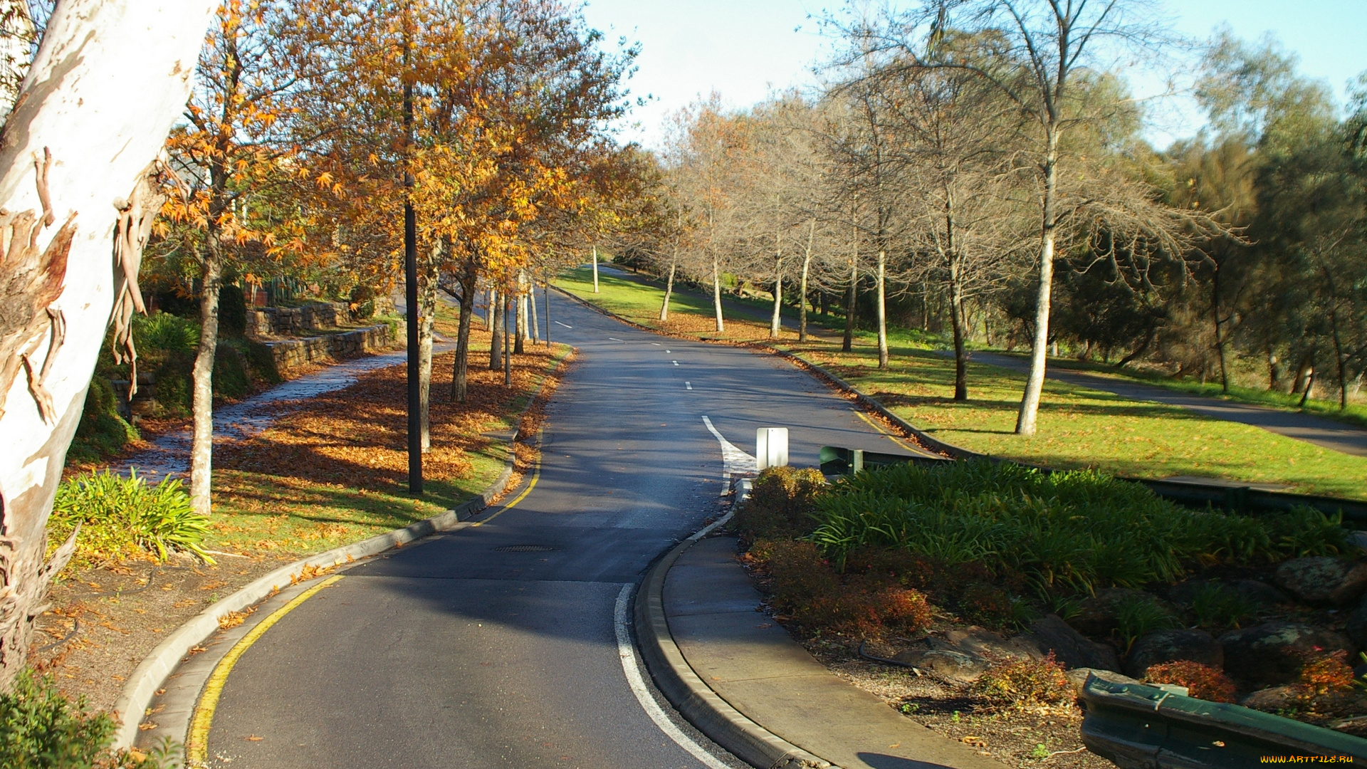 природа, дороги, осень, деревья, ступени, парк, шоссе, дорога