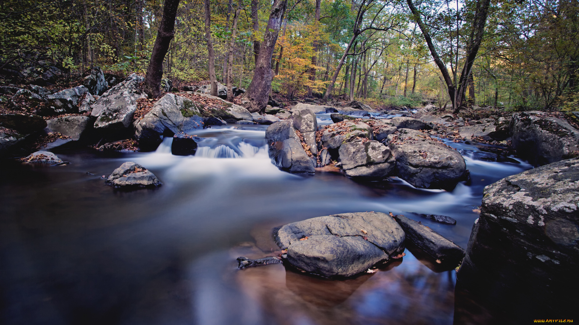 природа, реки, озера, камни, осень, ручей, река, лес