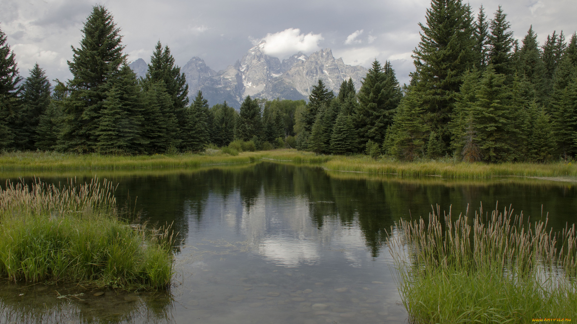 природа, реки, озера, лес, ели, пейзаж, озеро, горы