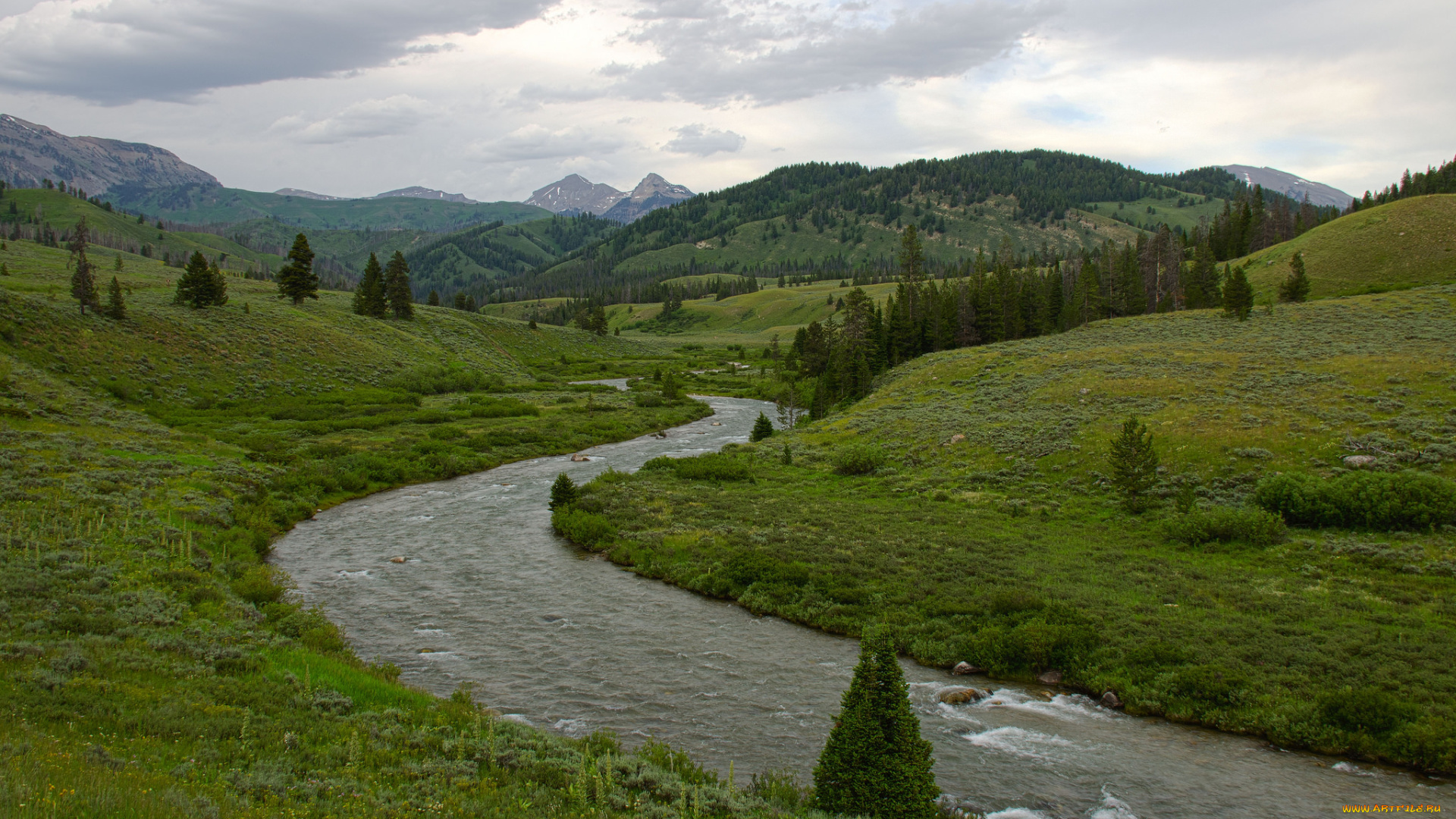 природа, реки, озера, ручей, река, деревья