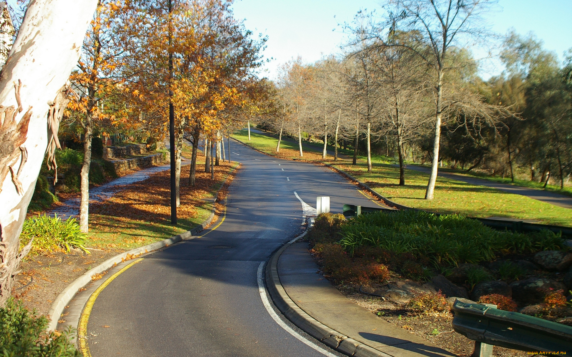 природа, дороги, осень, деревья, ступени, парк, шоссе, дорога
