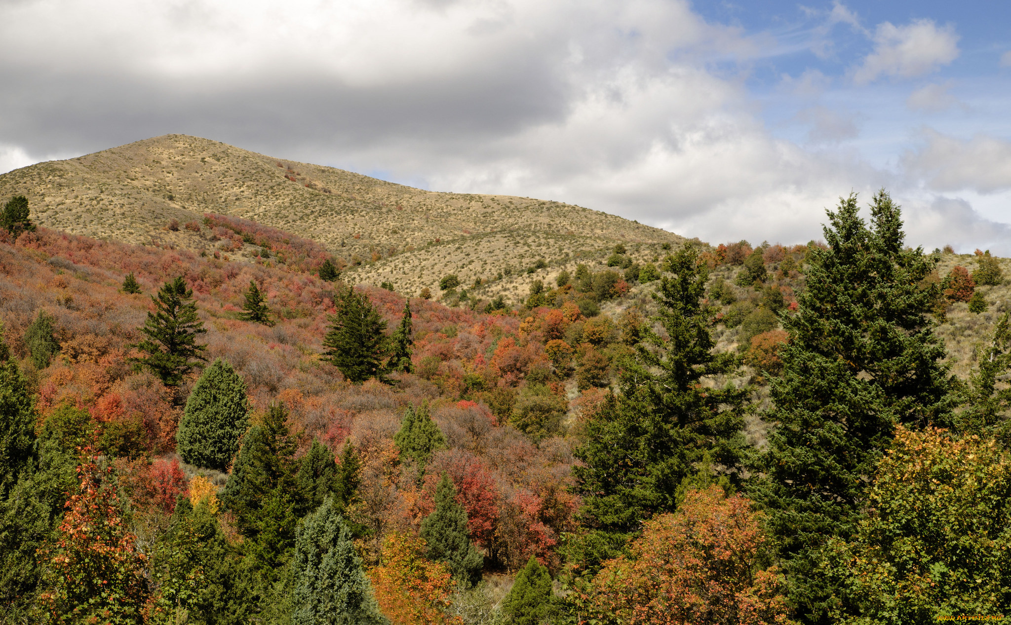 природа, пейзажи, осень, пейзаж, лес