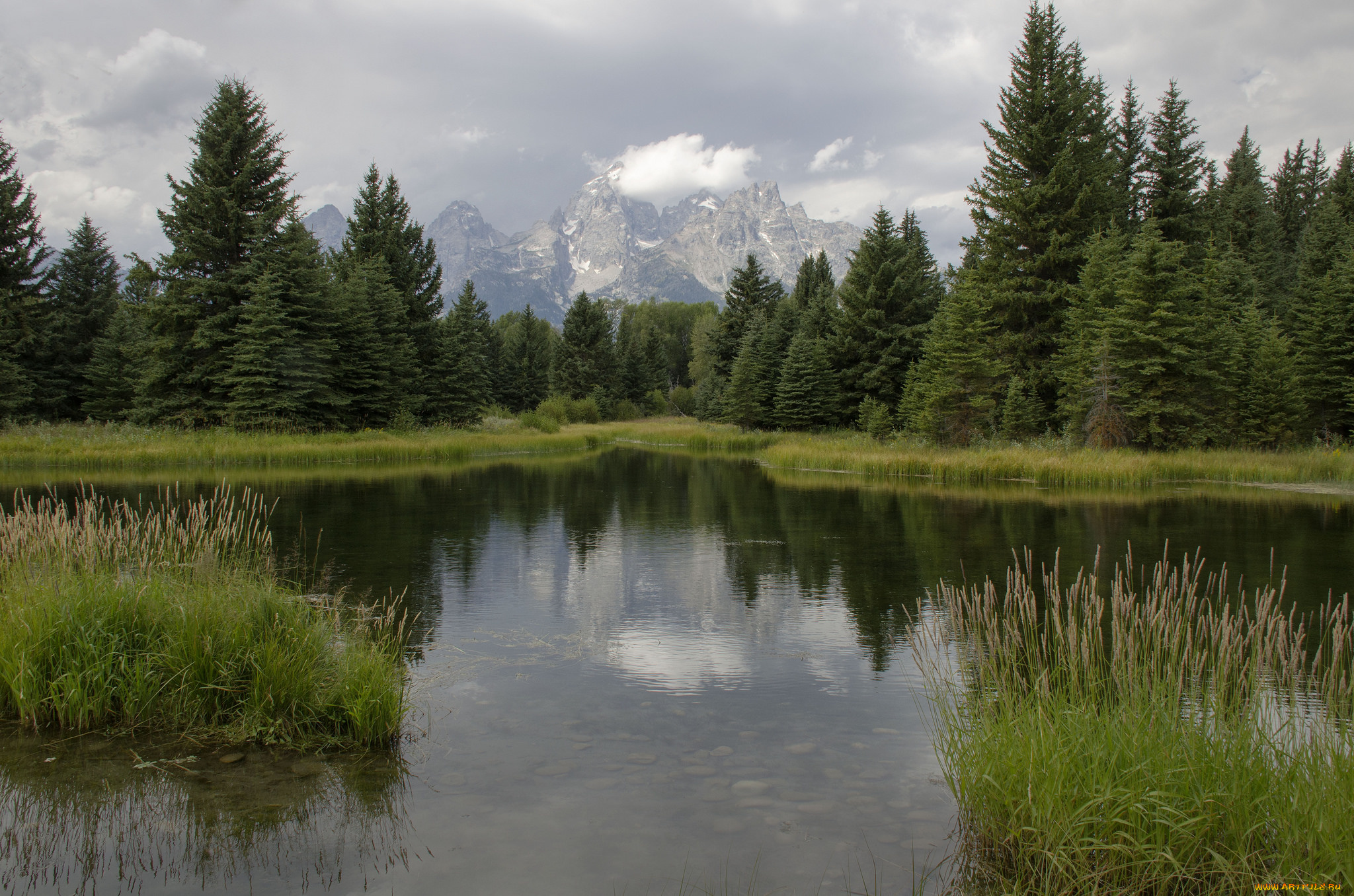 природа, реки, озера, лес, ели, пейзаж, озеро, горы