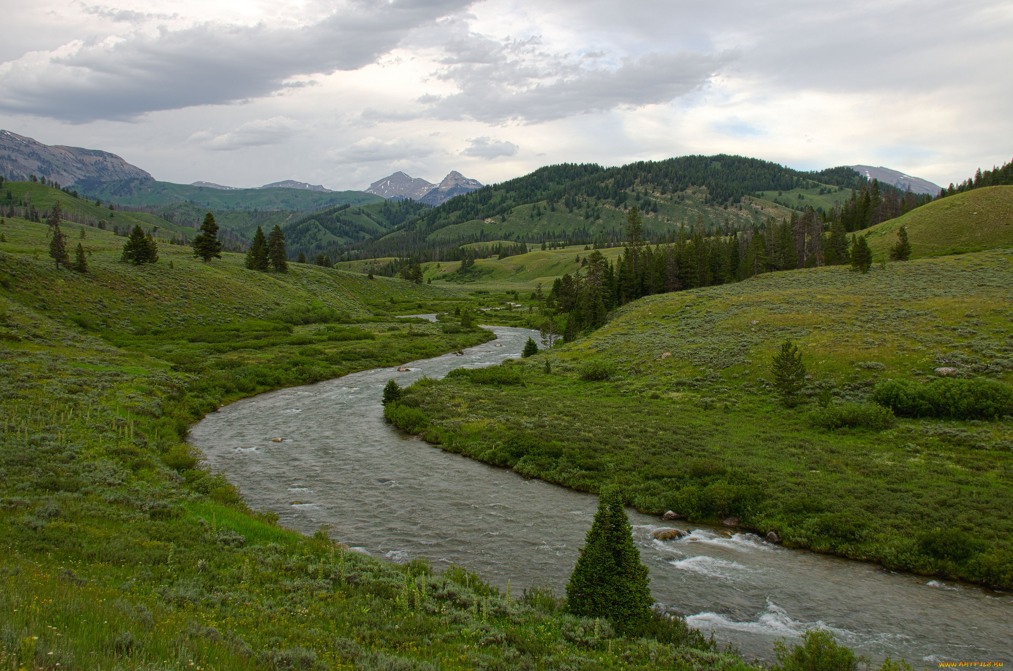 природа, реки, озера, ручей, река, деревья
