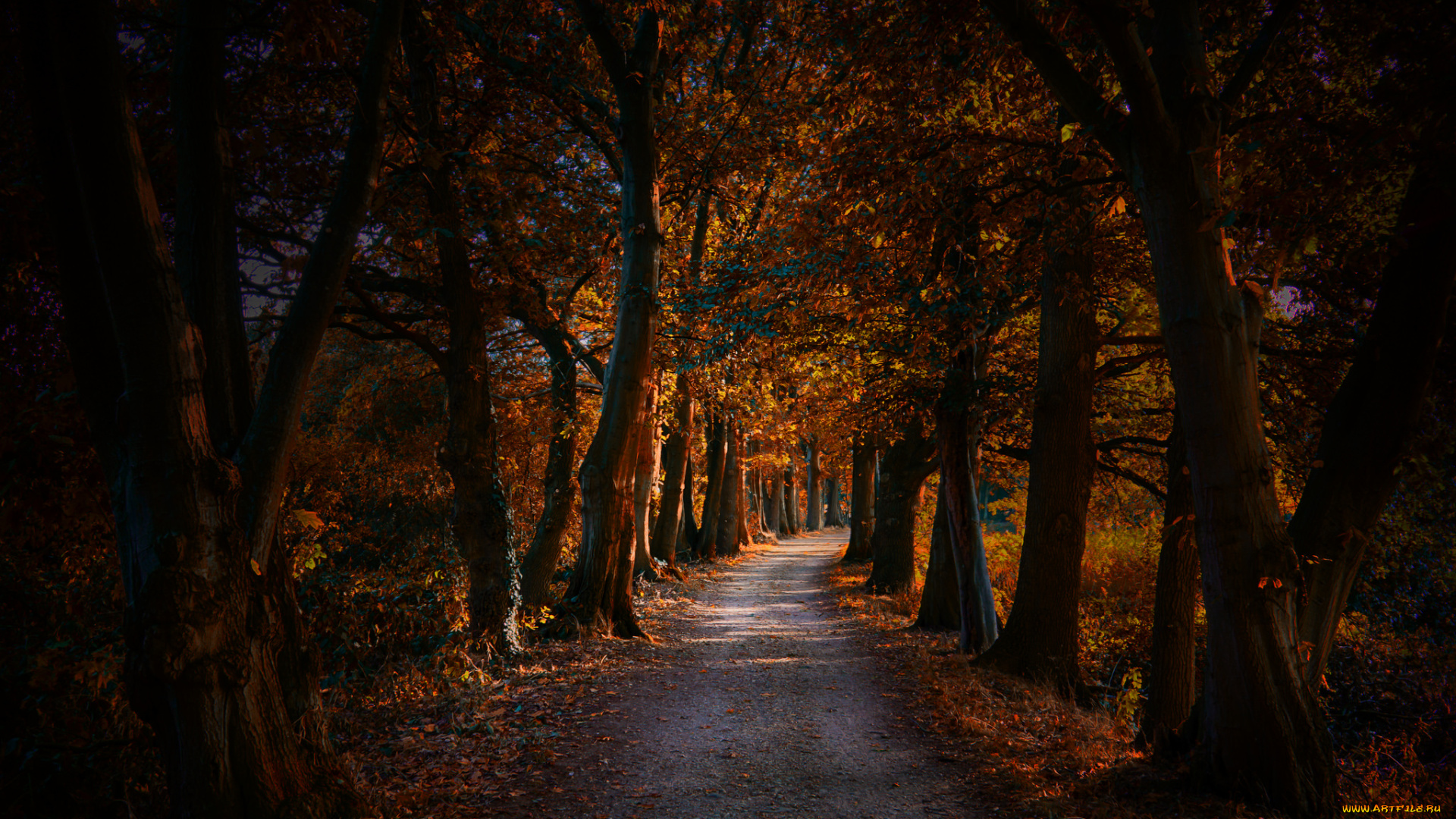 природа, дороги, тракт