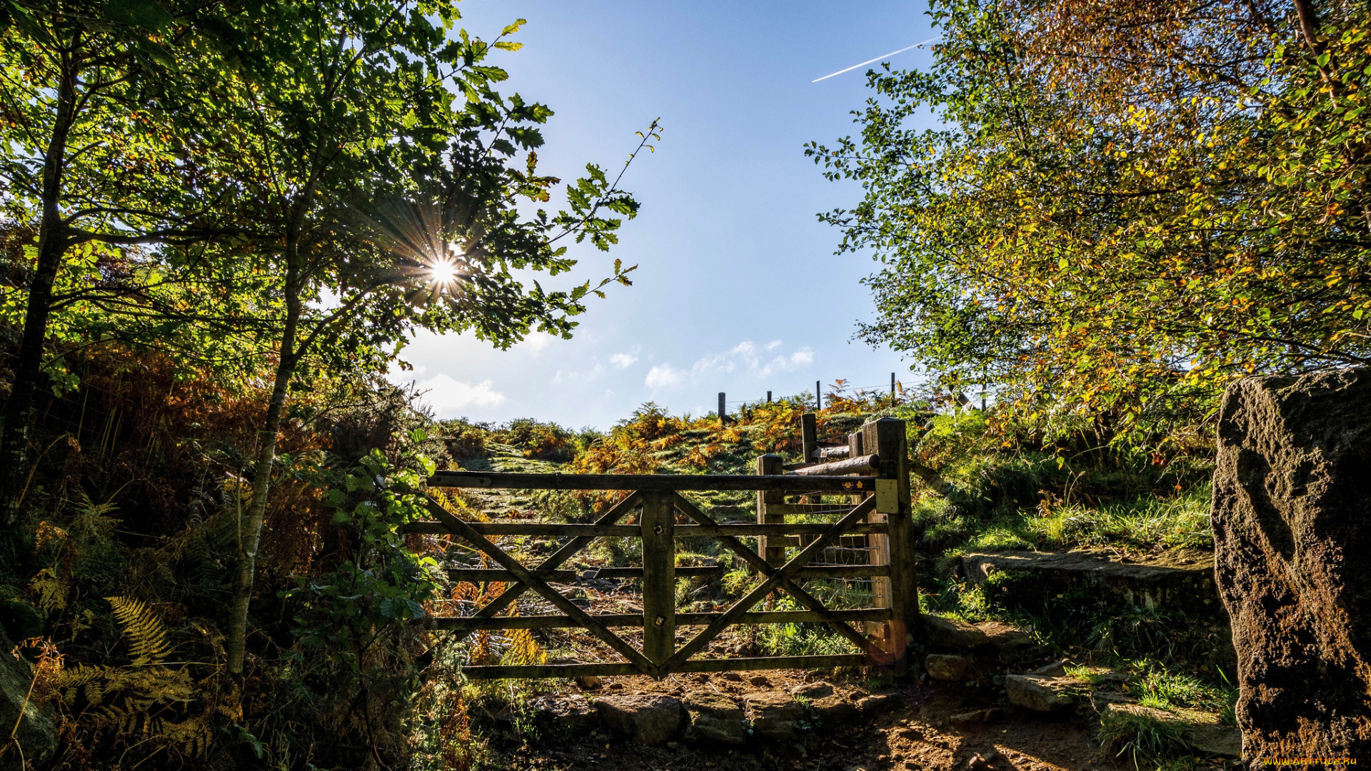 природа, дороги, тракт