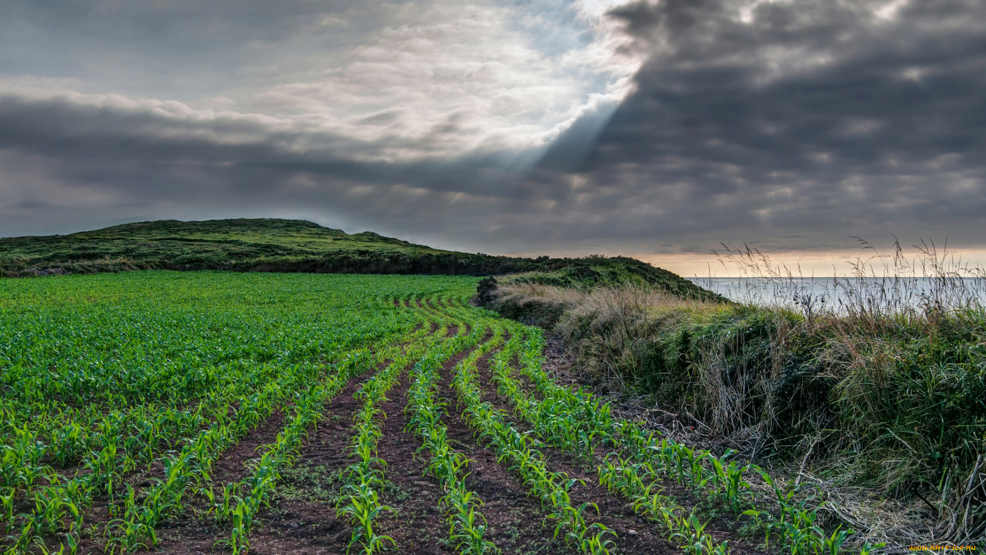 природа, побережье, море, берег