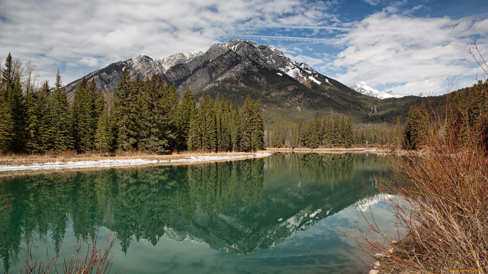 природа, реки, озера, лес, река