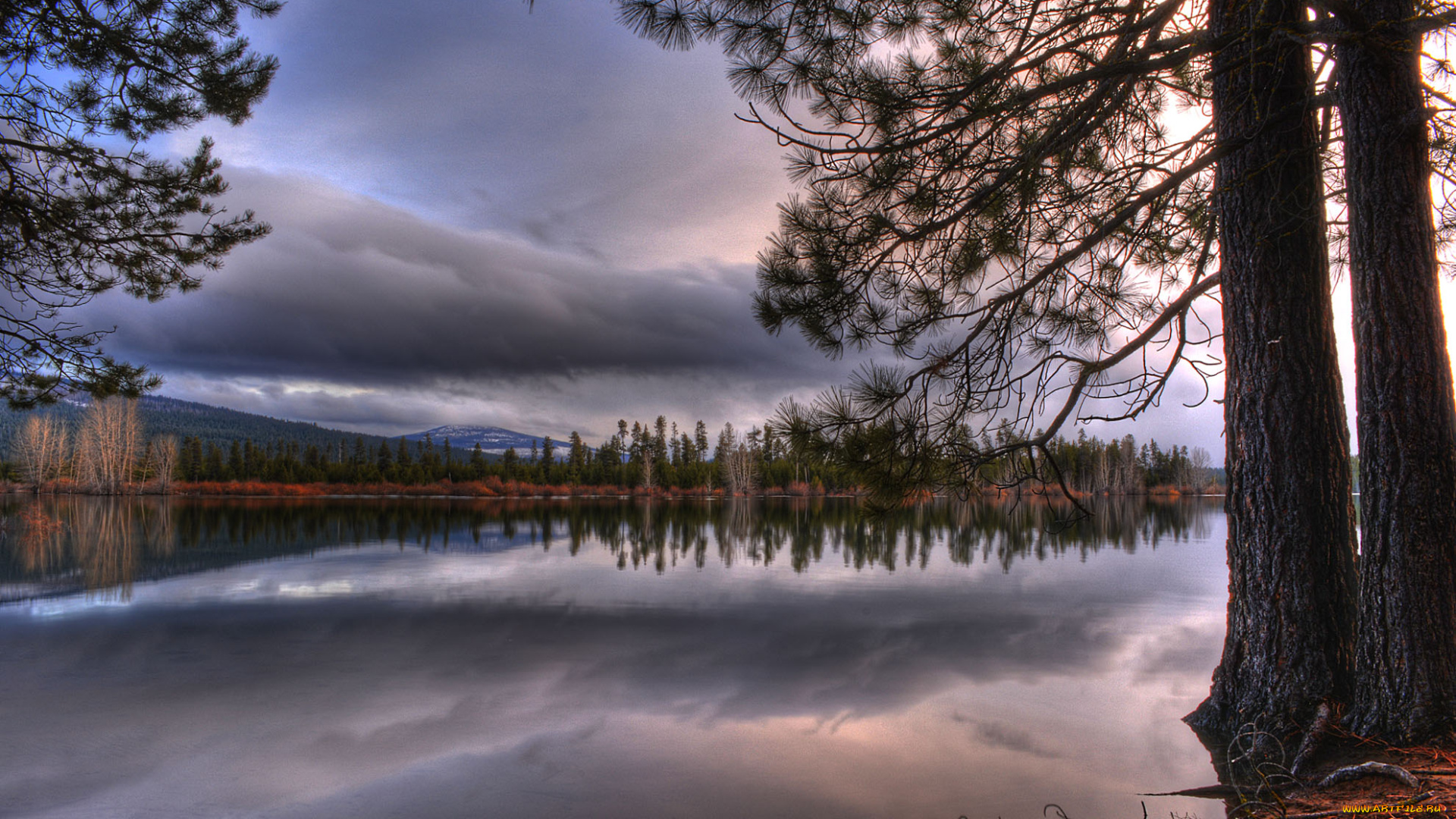 природа, реки, озера, река, лес