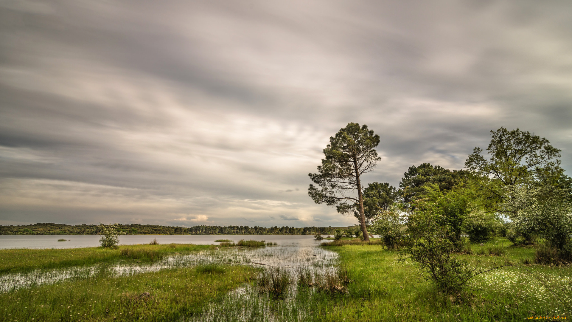 природа, реки, озера, река, лес