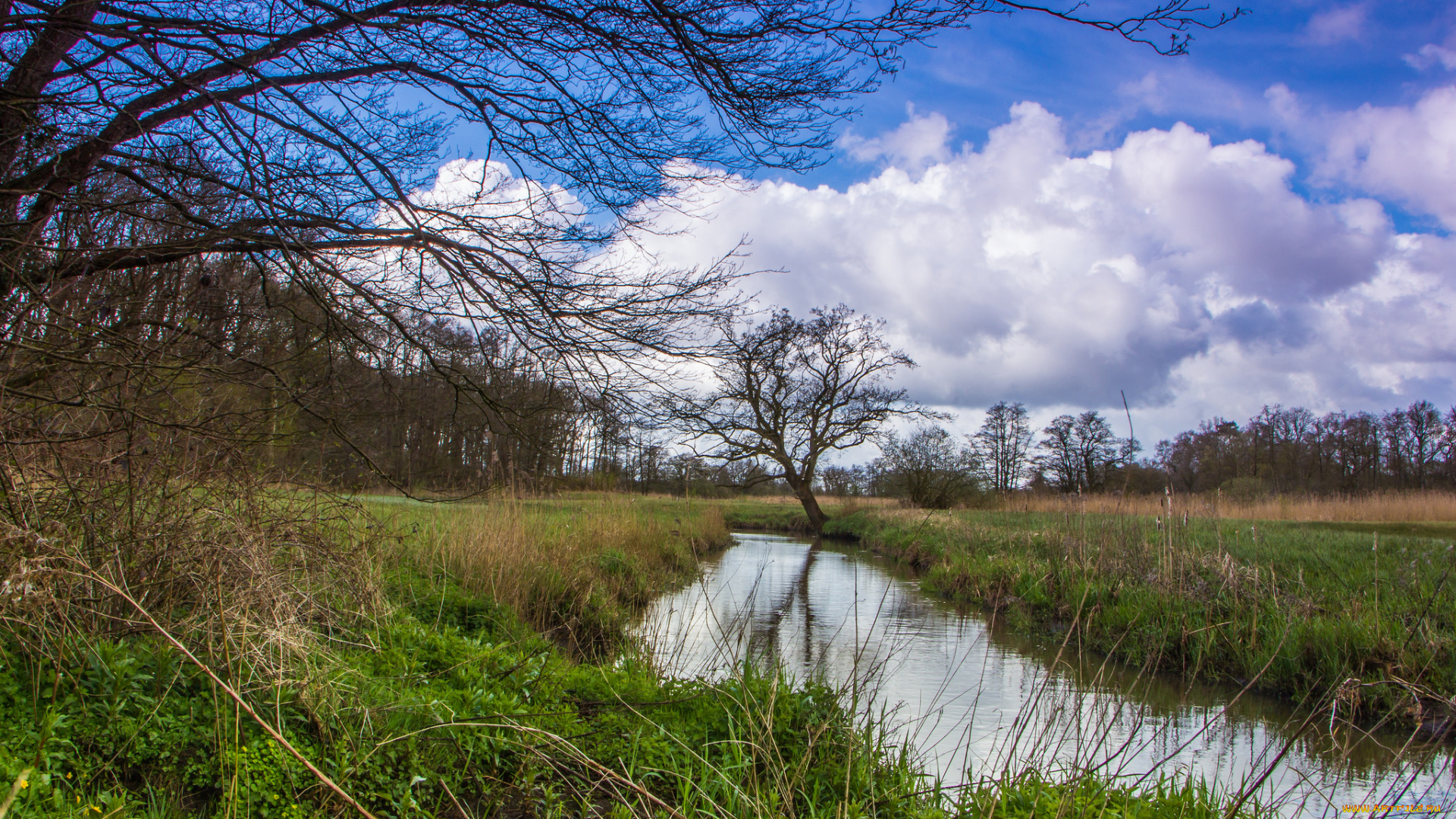 природа, реки, озера, река, лес