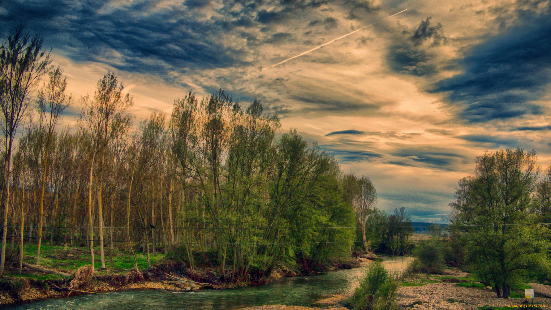 природа, реки, озера, река, лес