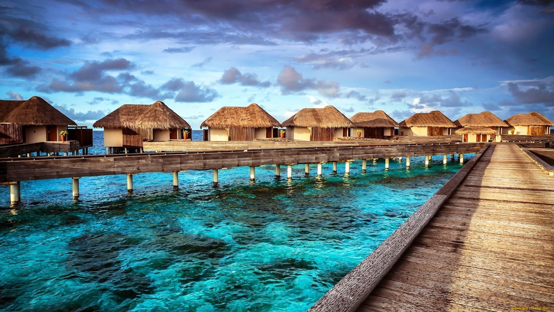 природа, тропики, море, дома