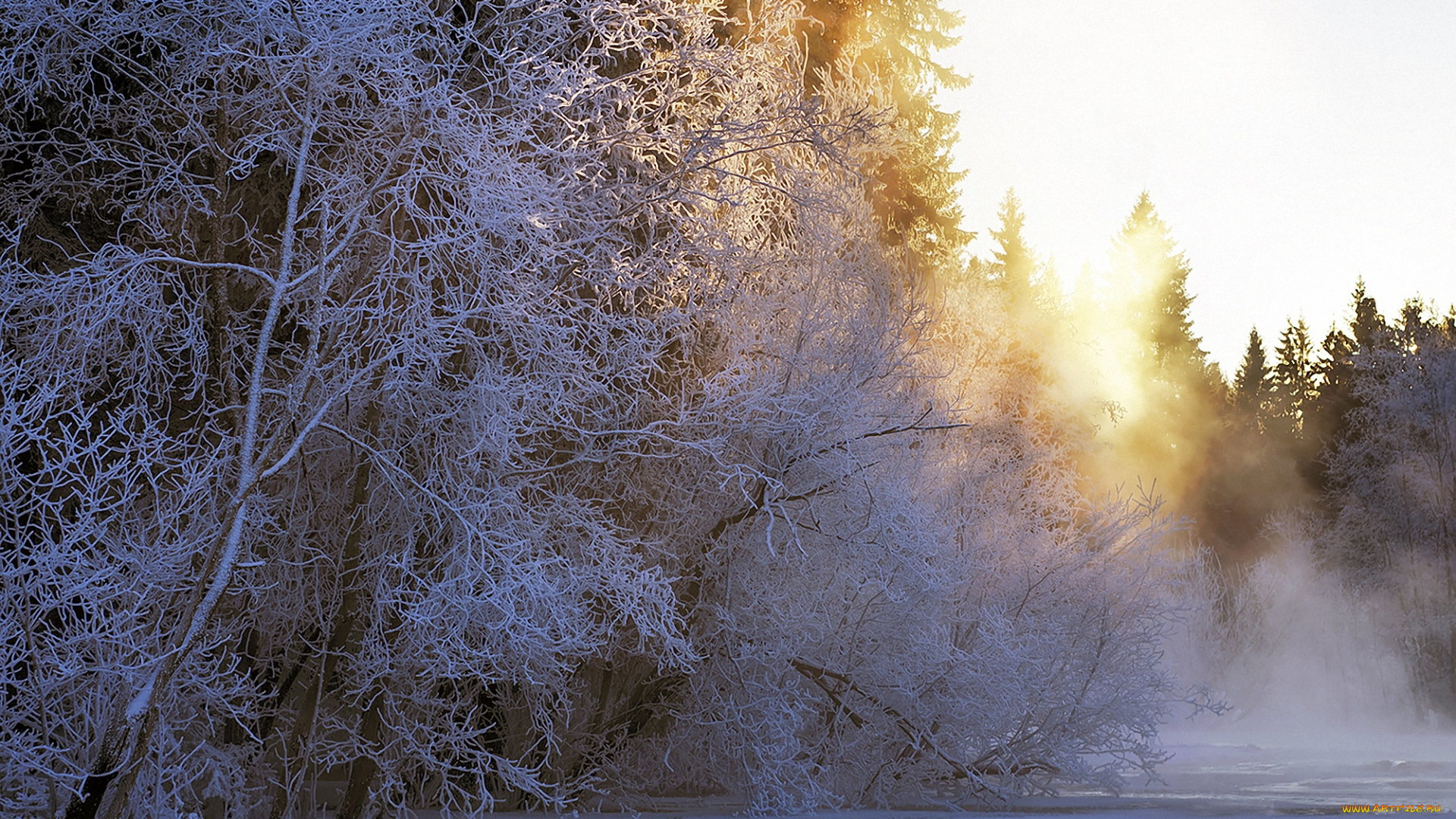 природа, зима, снег, деревья