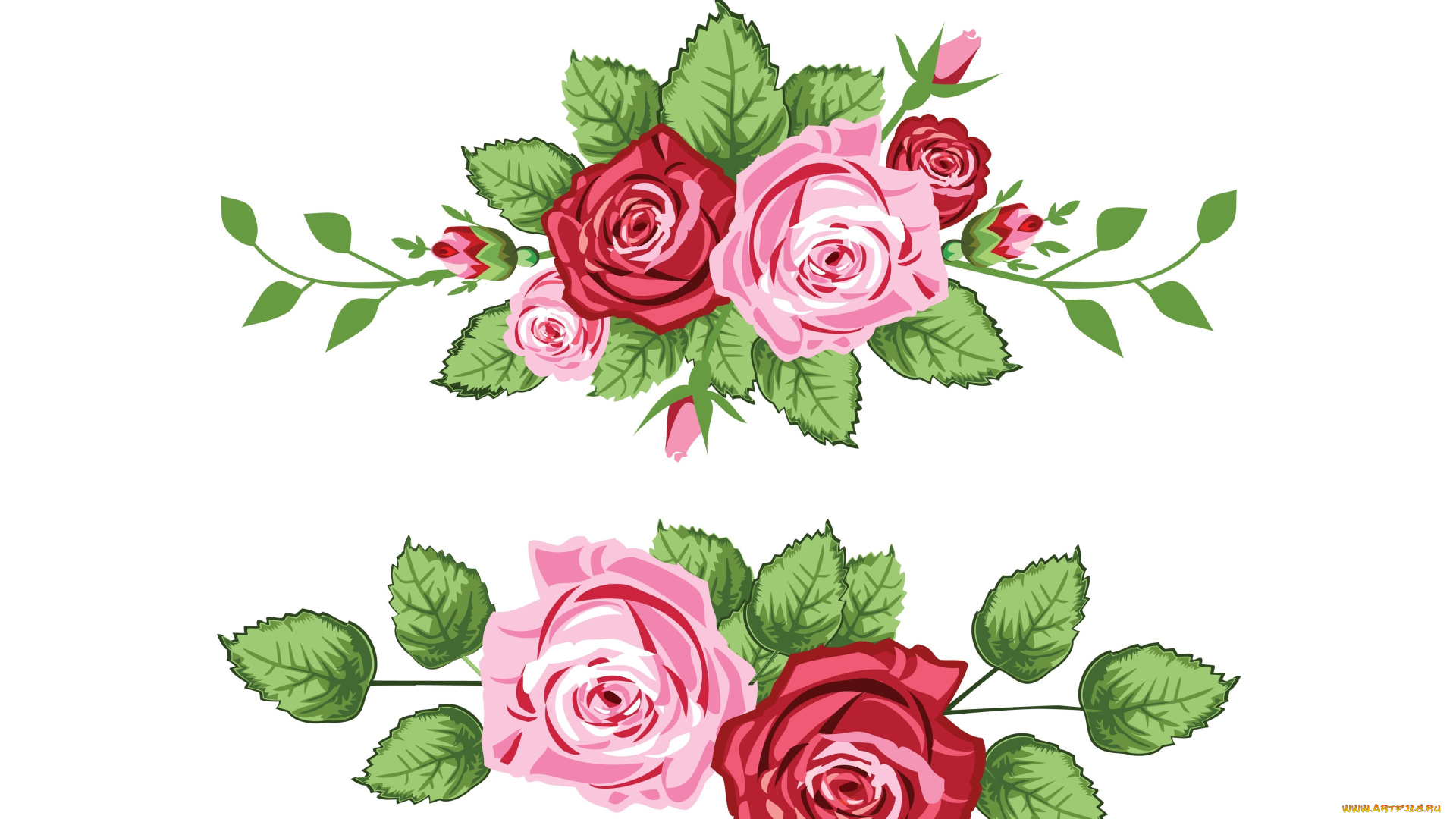 векторная, графика, цветы, , flowers, фон, цветы