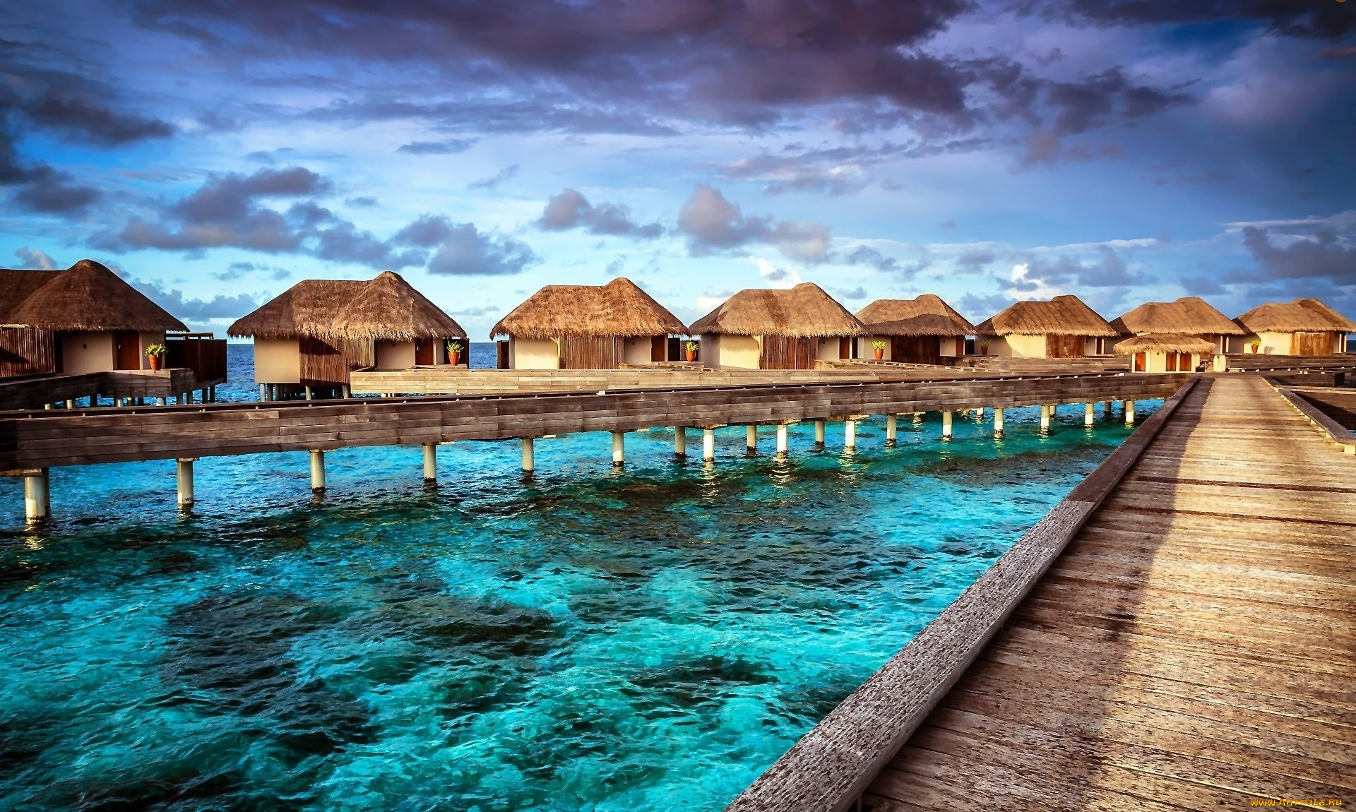 природа, тропики, море, дома