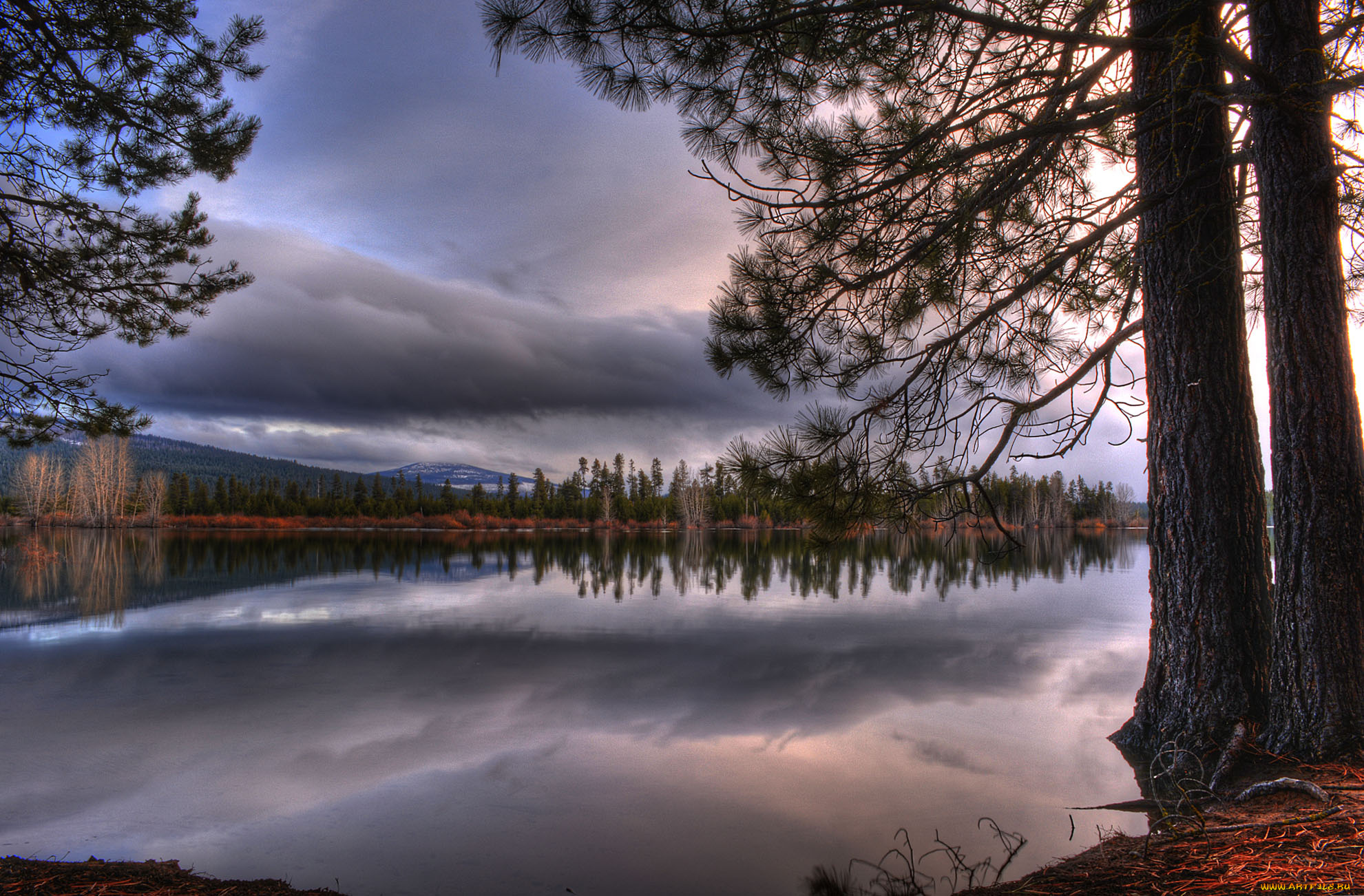 природа, реки, озера, река, лес