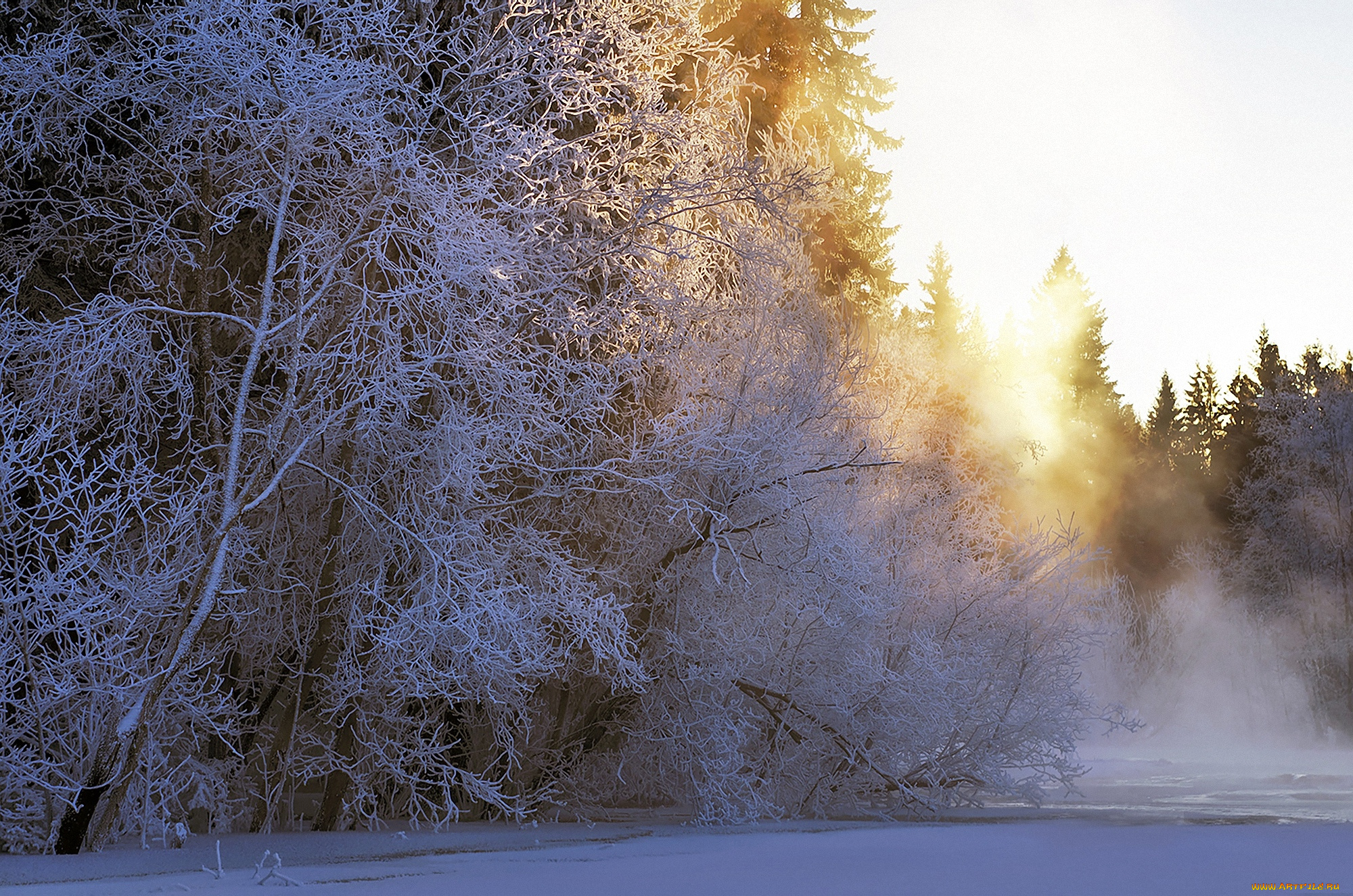 природа, зима, снег, деревья