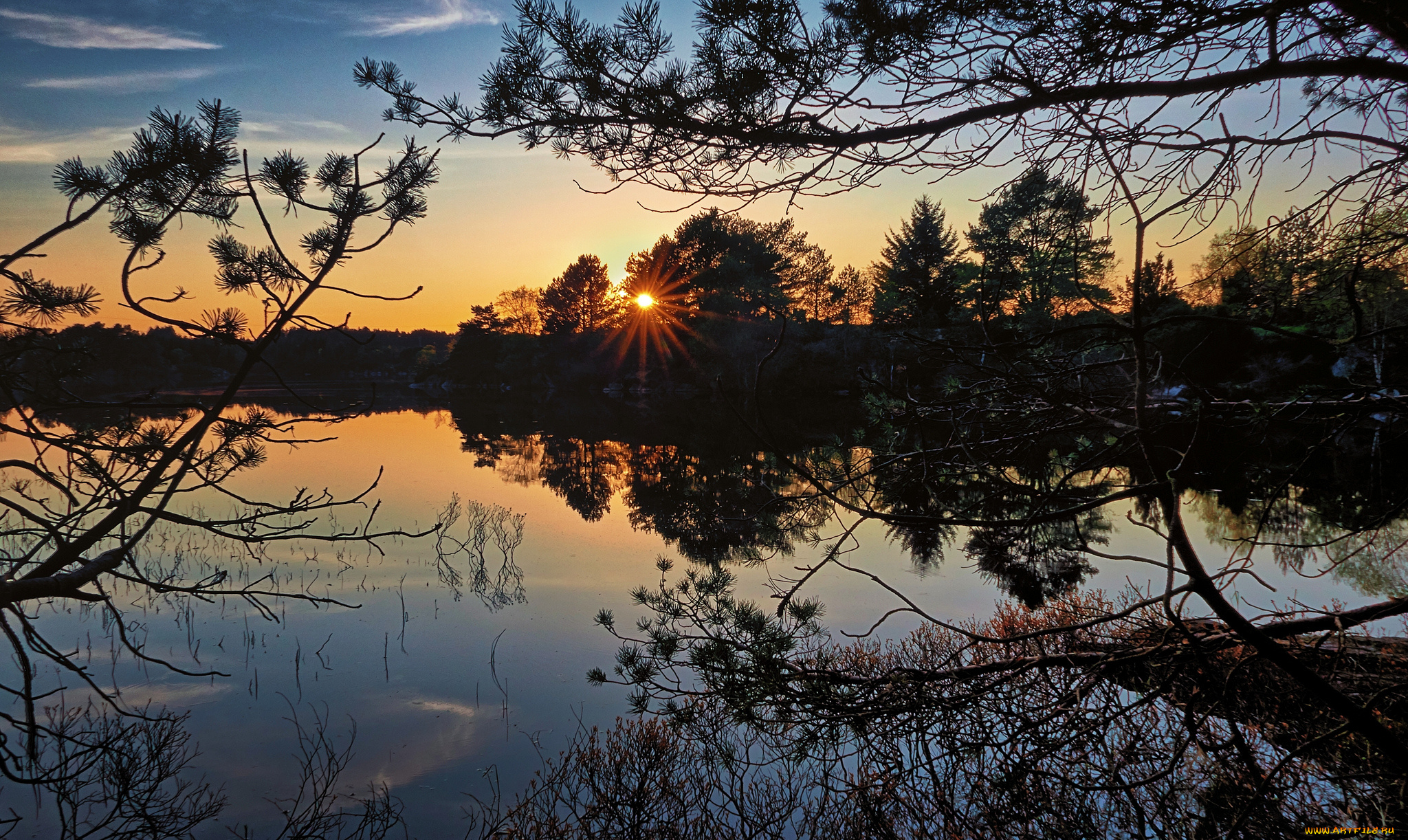 природа, реки, озера, река, лес