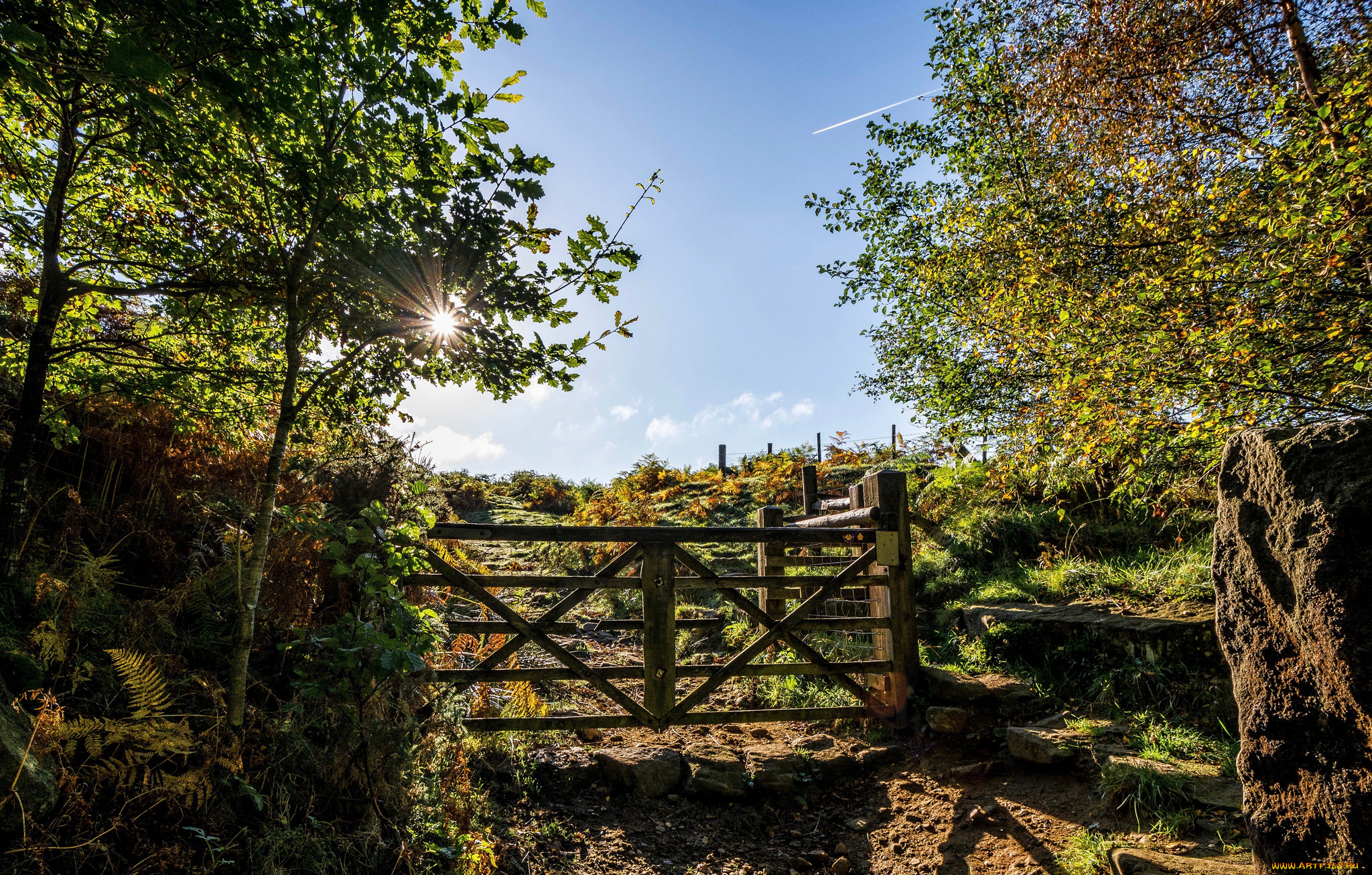 природа, дороги, тракт