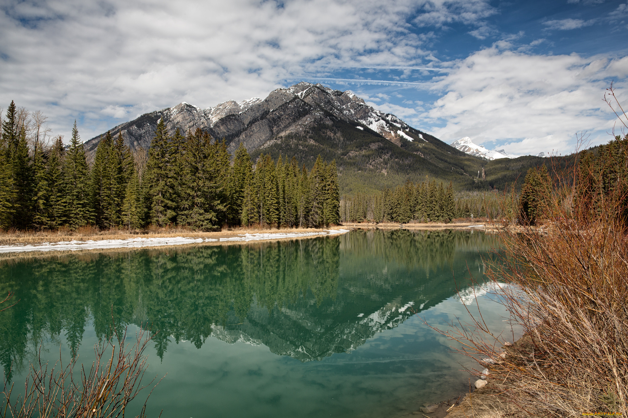 природа, реки, озера, лес, река