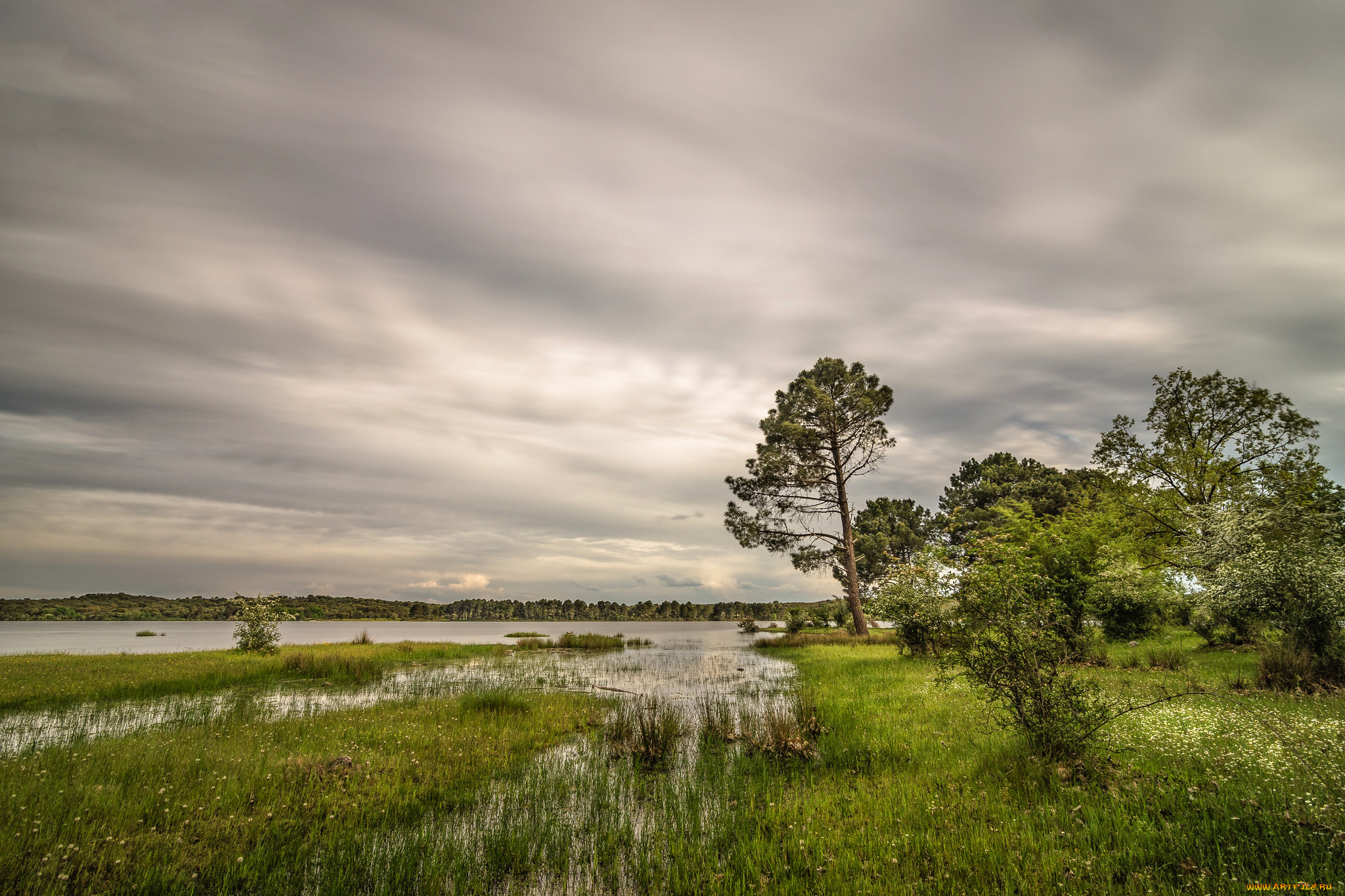 природа, реки, озера, река, лес