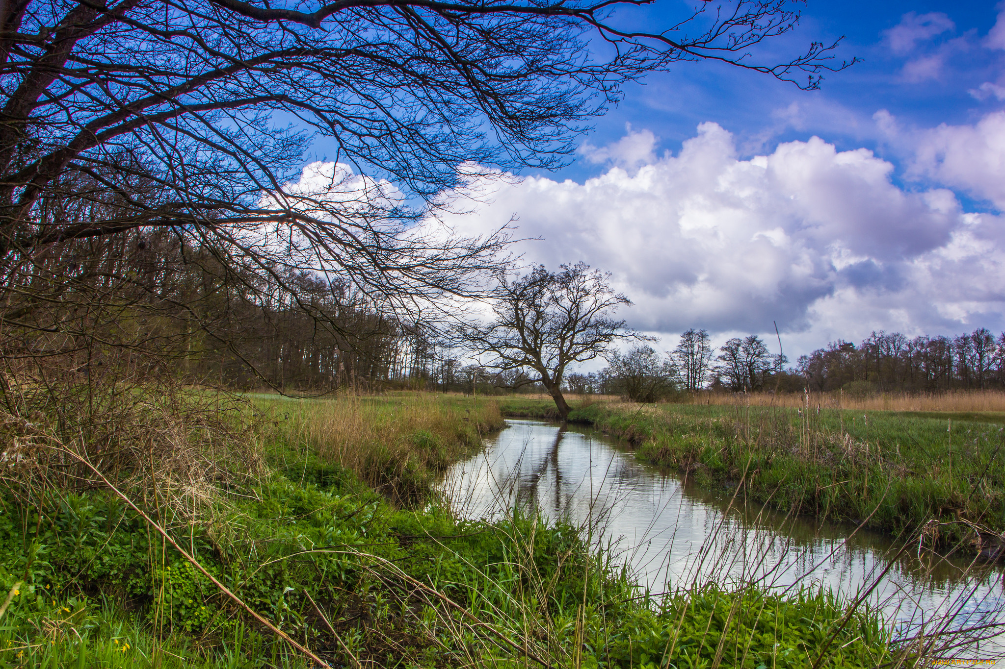 природа, реки, озера, река, лес