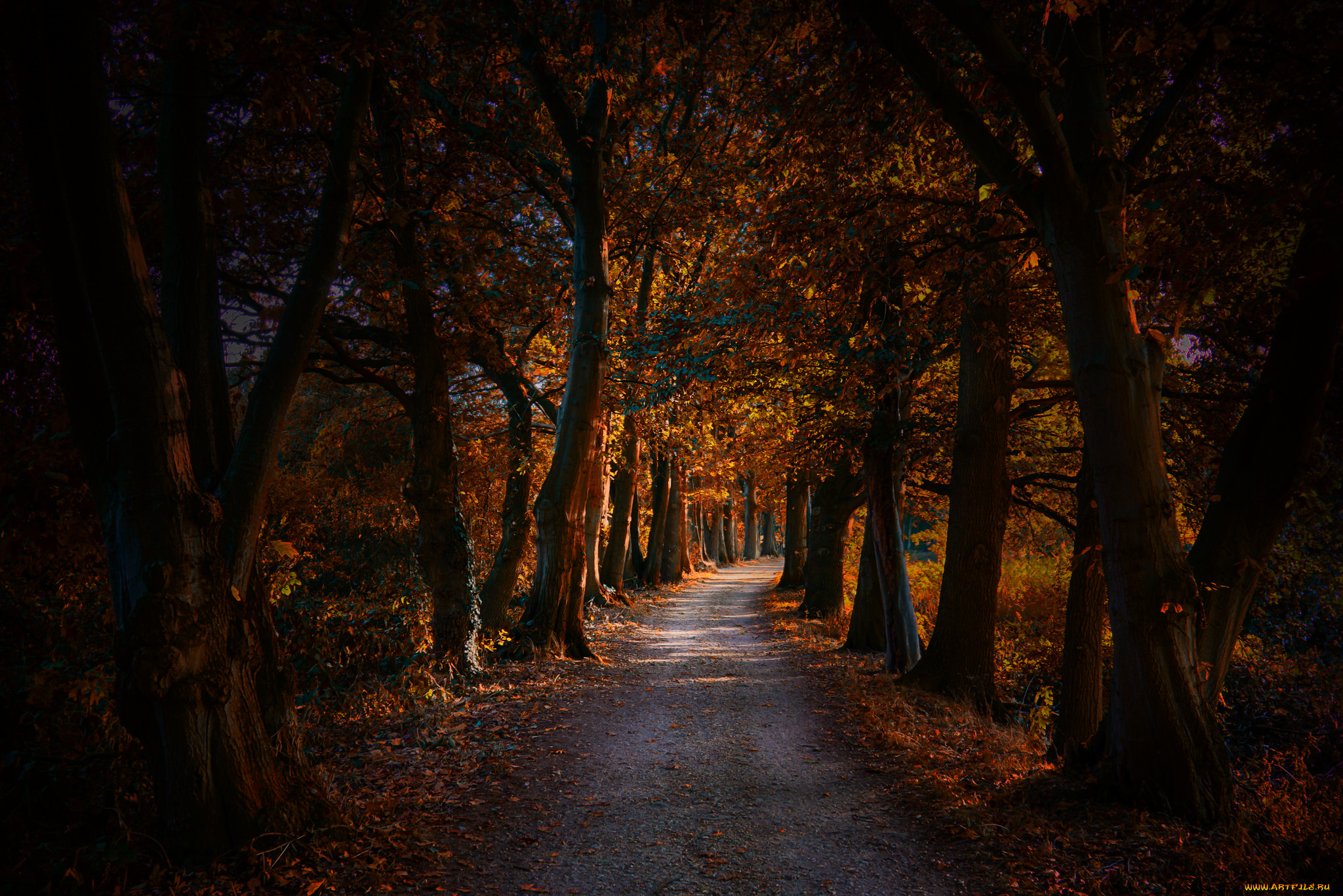 природа, дороги, тракт